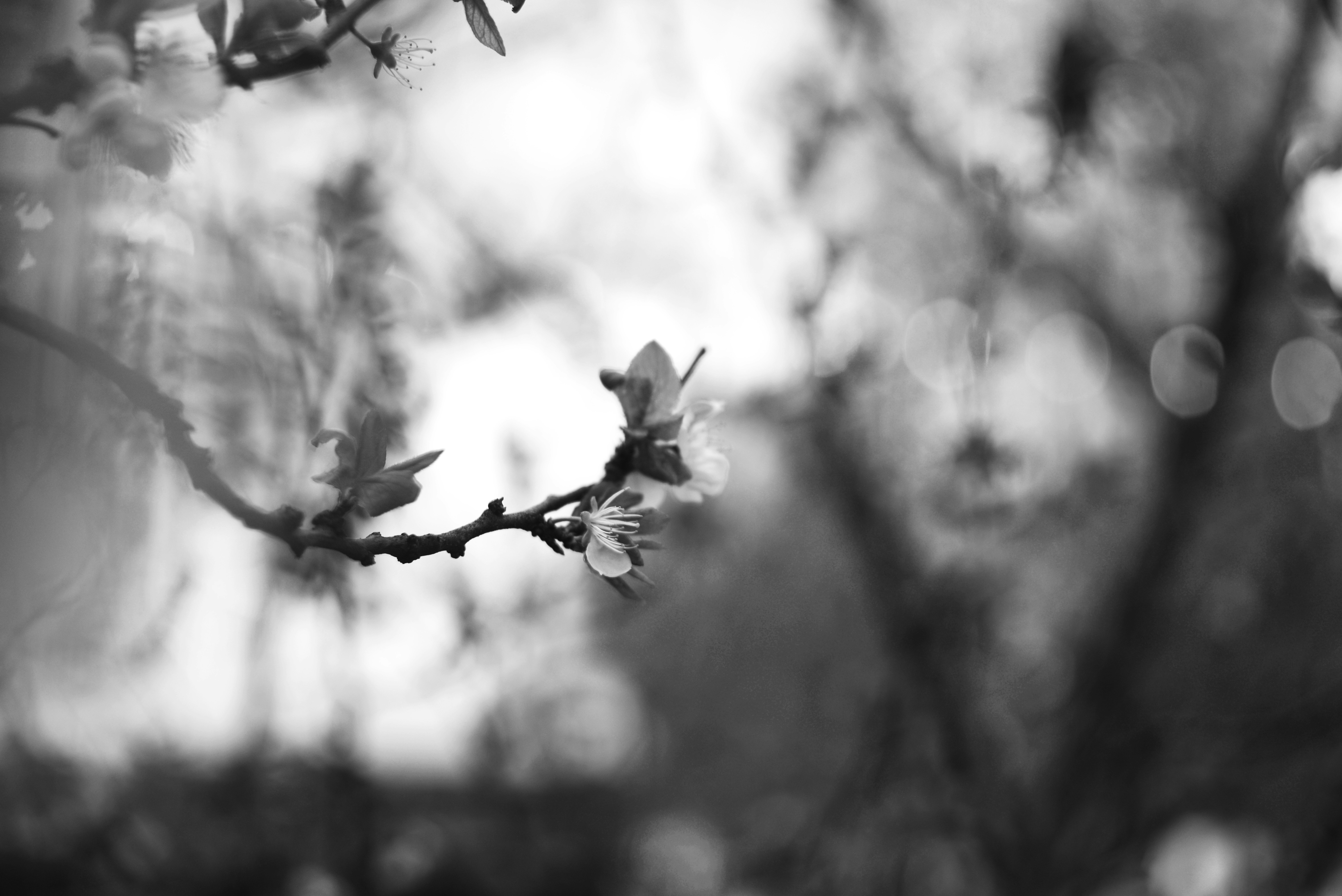 Photo by cherstve_pechivo