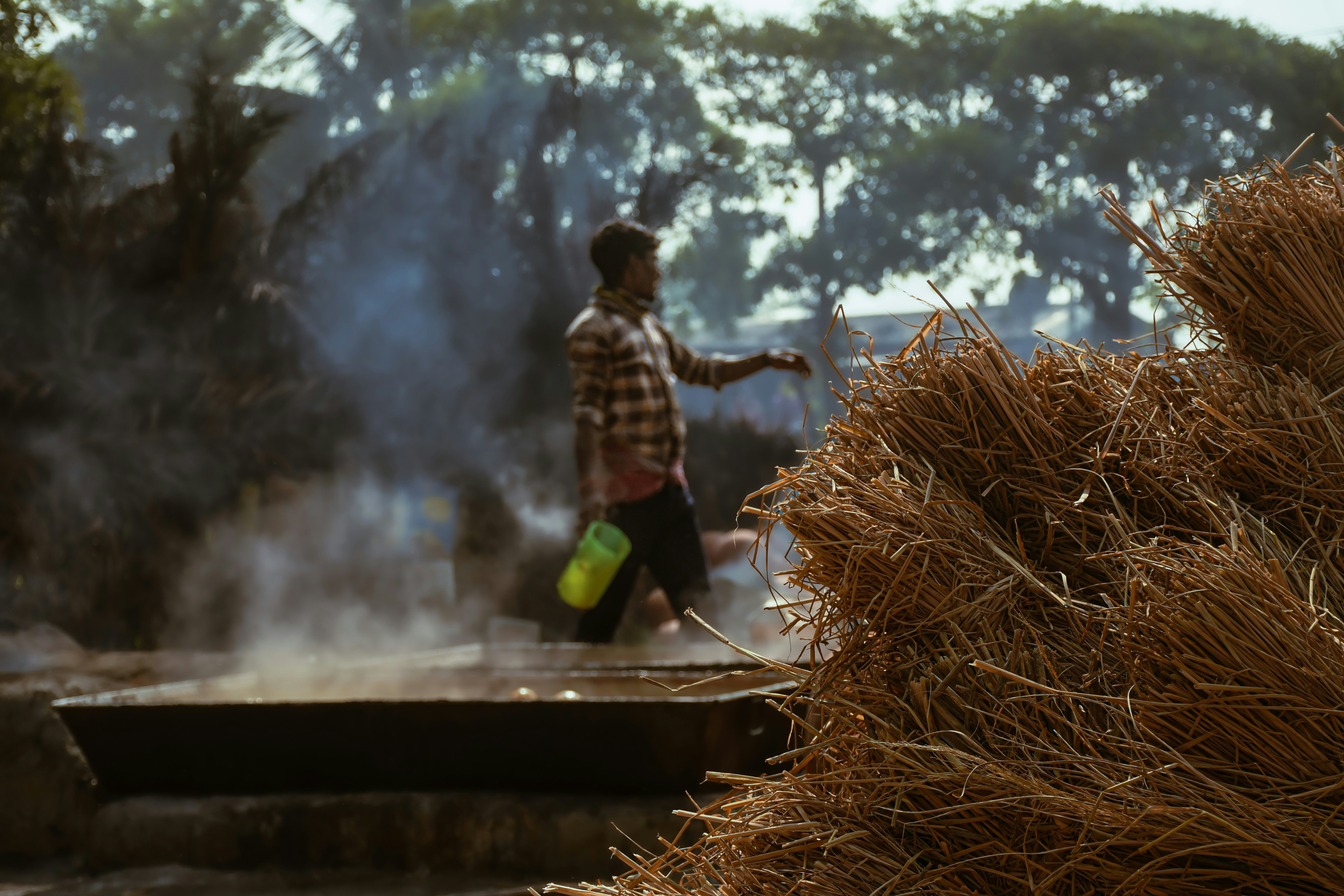 conventional farming