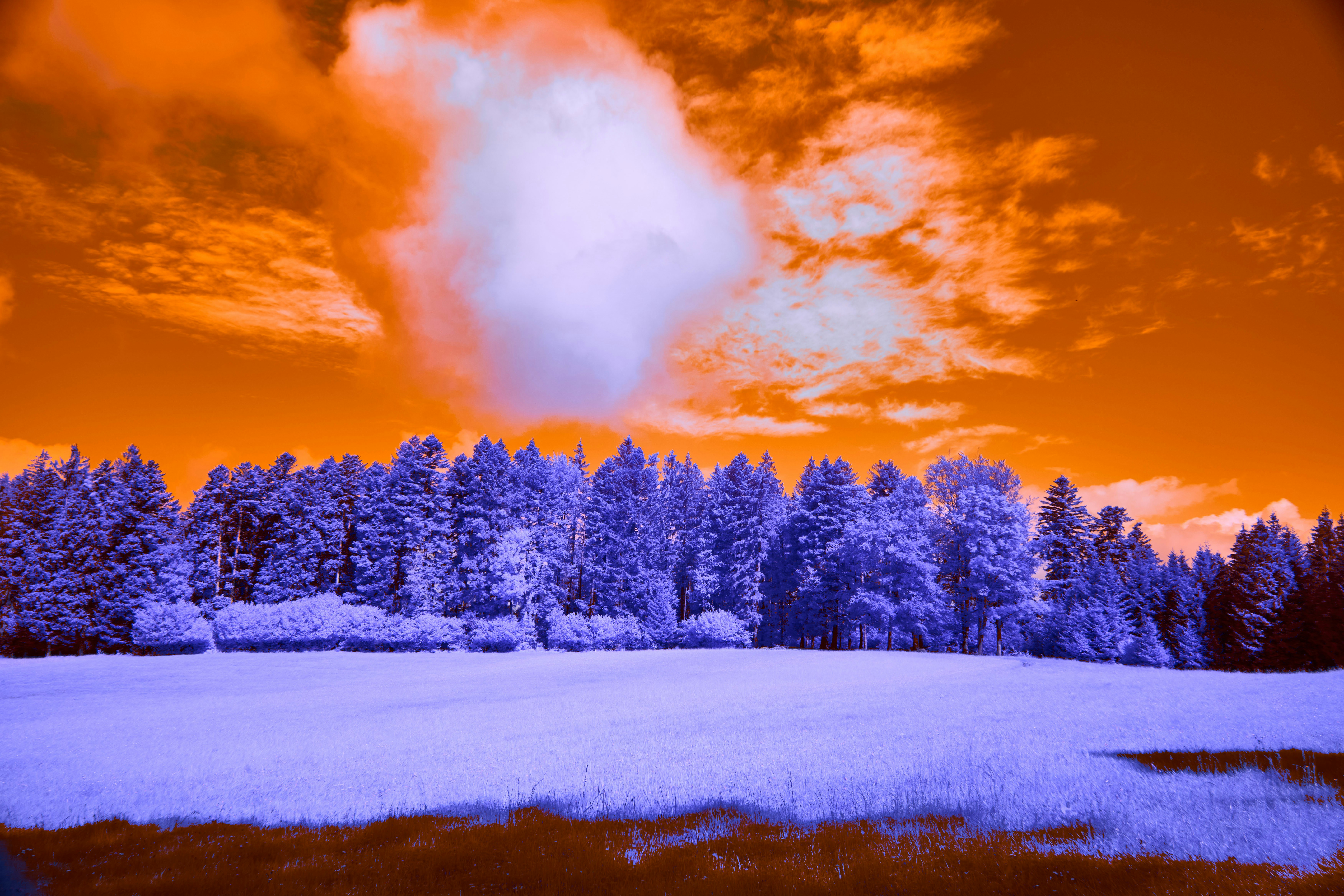 Photo by wolfgang_hasselmann