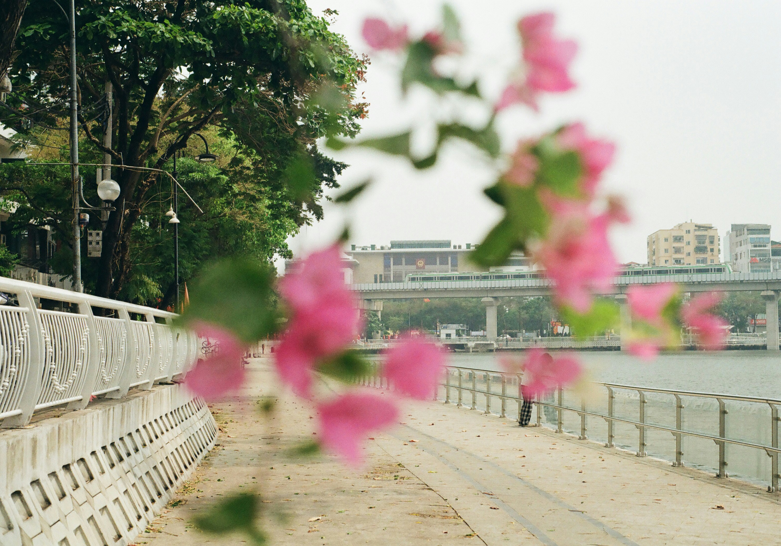 Hoa Nhà Min - Cửa Hàng Hoa Tươi Nghệ Thuật