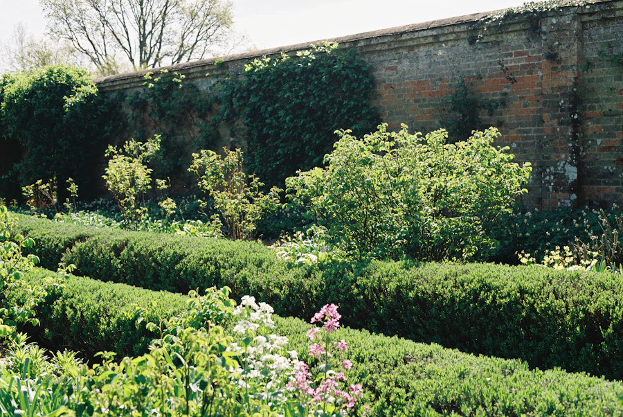 Mature garden with mowed lawn — temporary placeholder