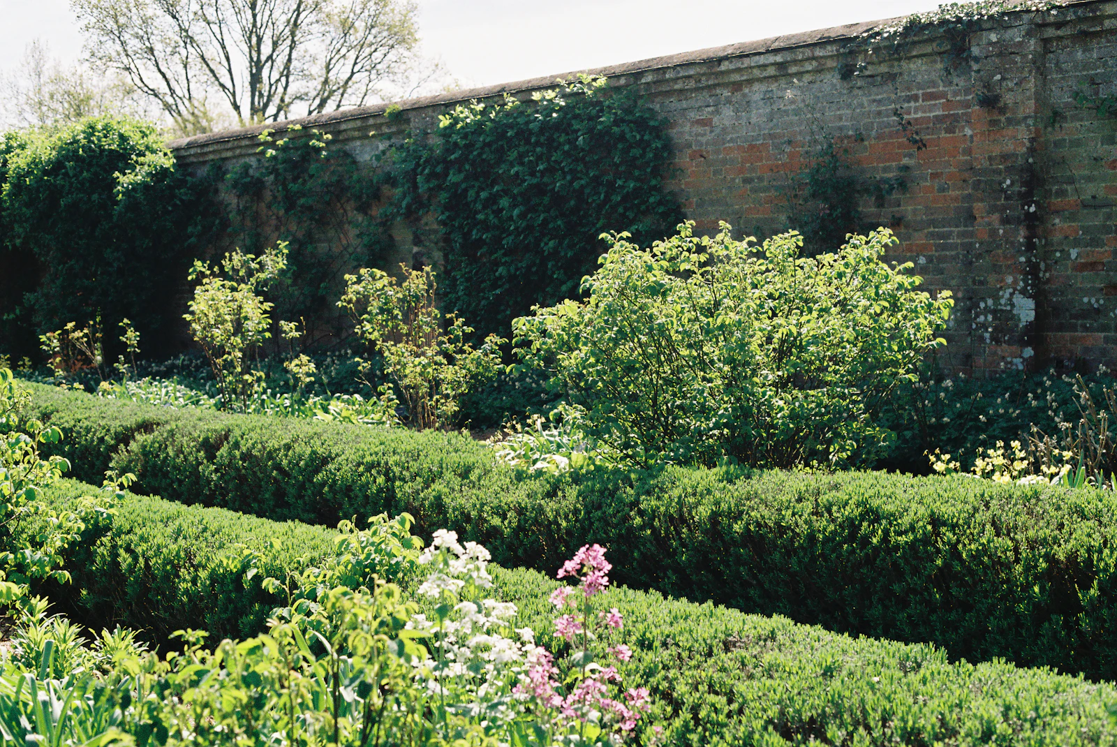 Fresh mulch beds around shrubs