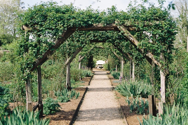 Pergola porośnięta zielenią w ogrodzie