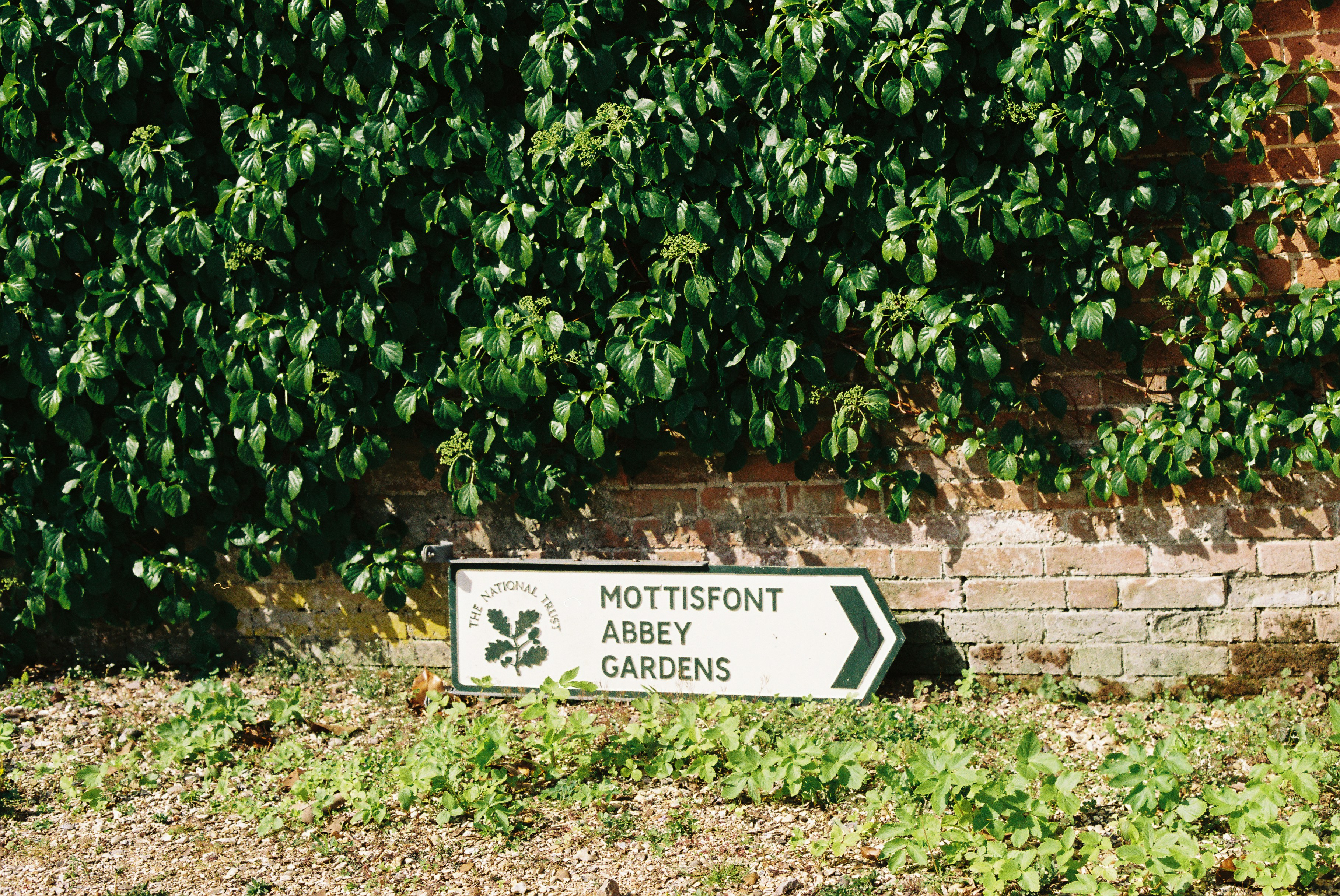 Abbey Gardens