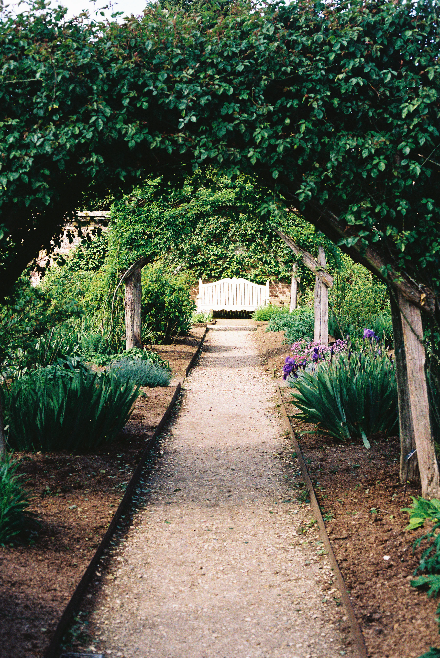 Stock photo of a gravel path leading through a leafy garden archway