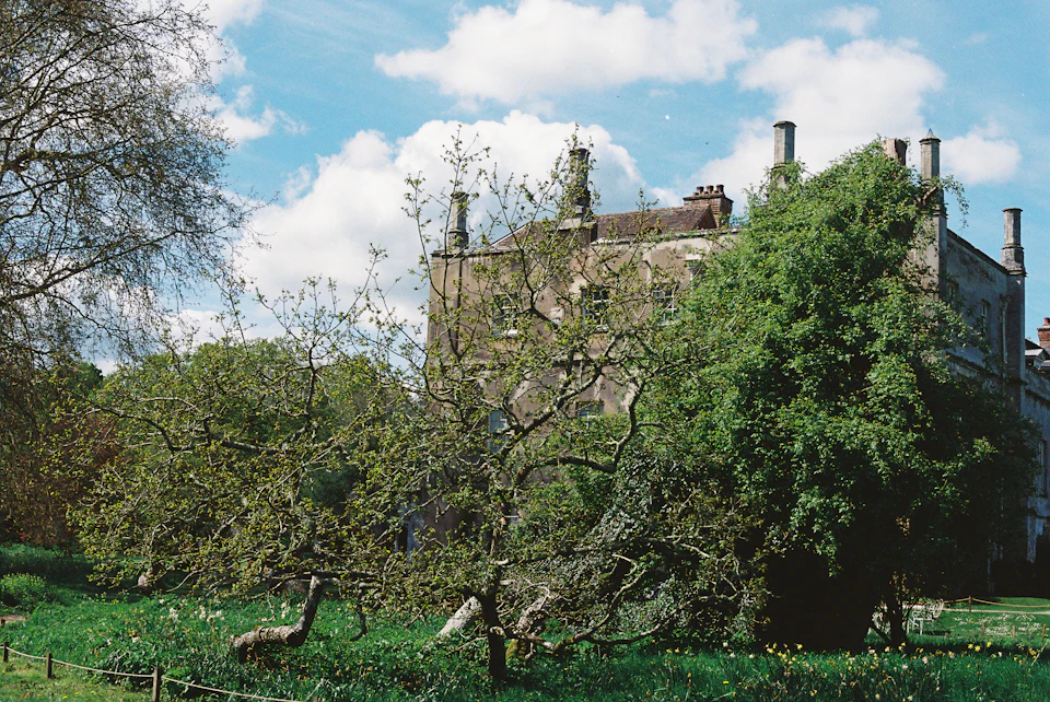The image depicts a large, two-story stone building with multiple chimneys and a tower on its left side. The building is surrounded by lush green trees and bushes, creating a serene and picturesque scene. In front of the building, there are several trees and bushes, adding to the natural beauty of the setting.

The sky above is clear blue with fluffy white clouds, suggesting a bright and sunny day. The image does not contain any discernible text or countable objects, making it an open space filled with nature's elements.