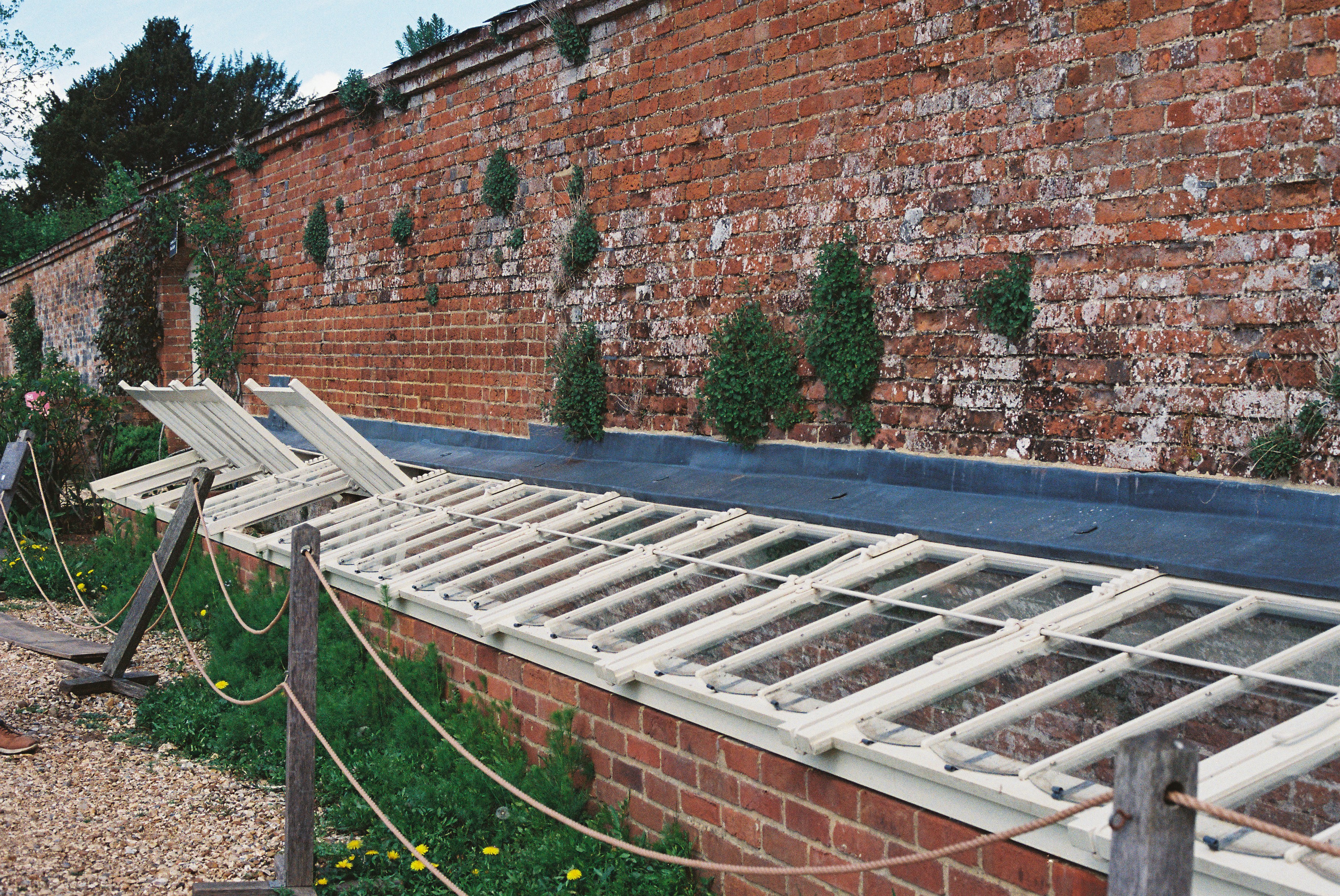 A long greenhouse structure against a brick wall.
