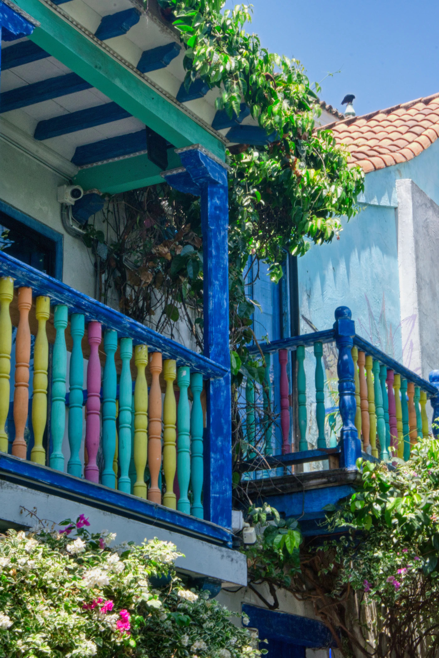 Colourful balcony with vibrant wooden balusters and green foliage in Getsemani neighbourhood Cartagena Colombia