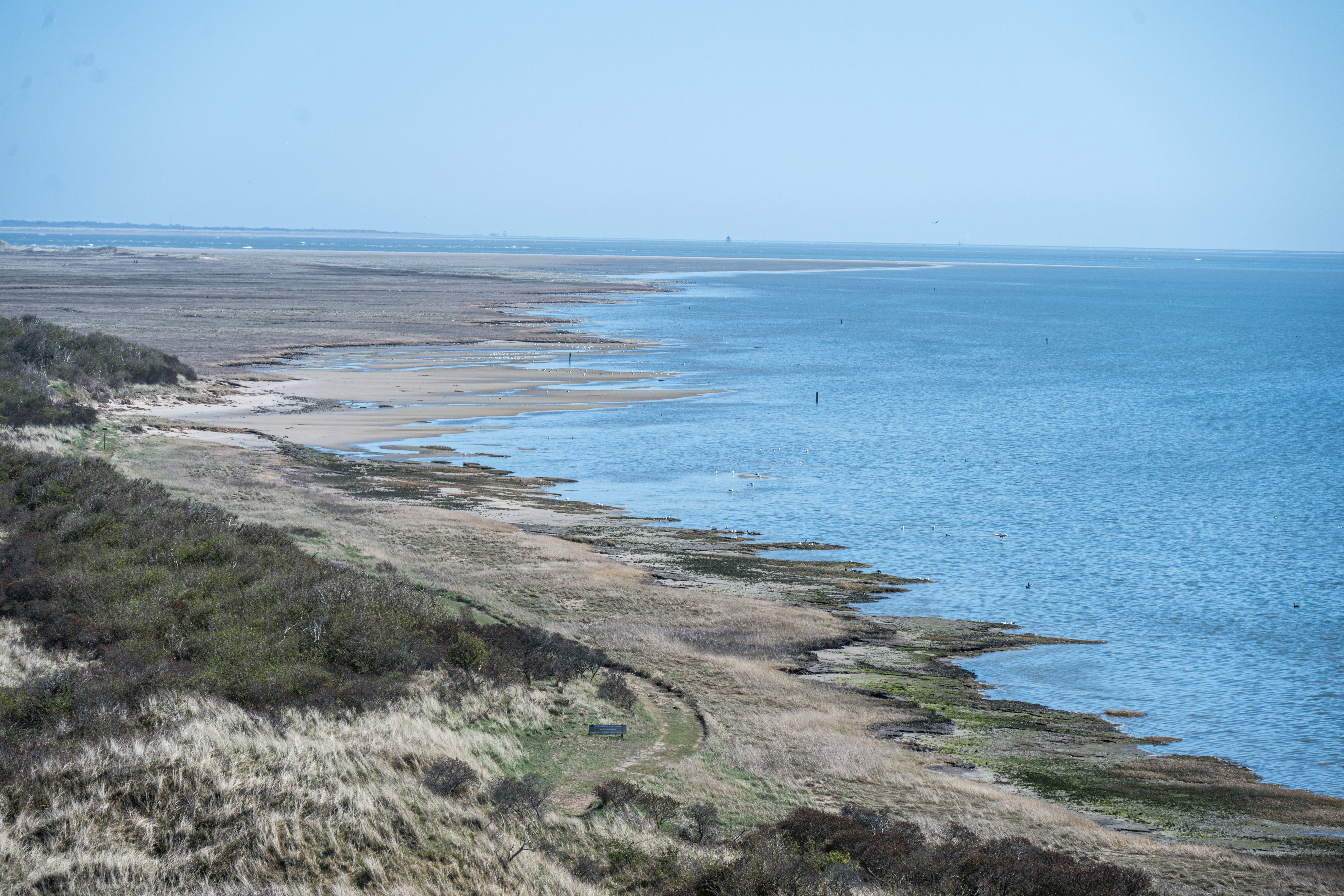 Coastal landscape with calm blue water and dry grass.