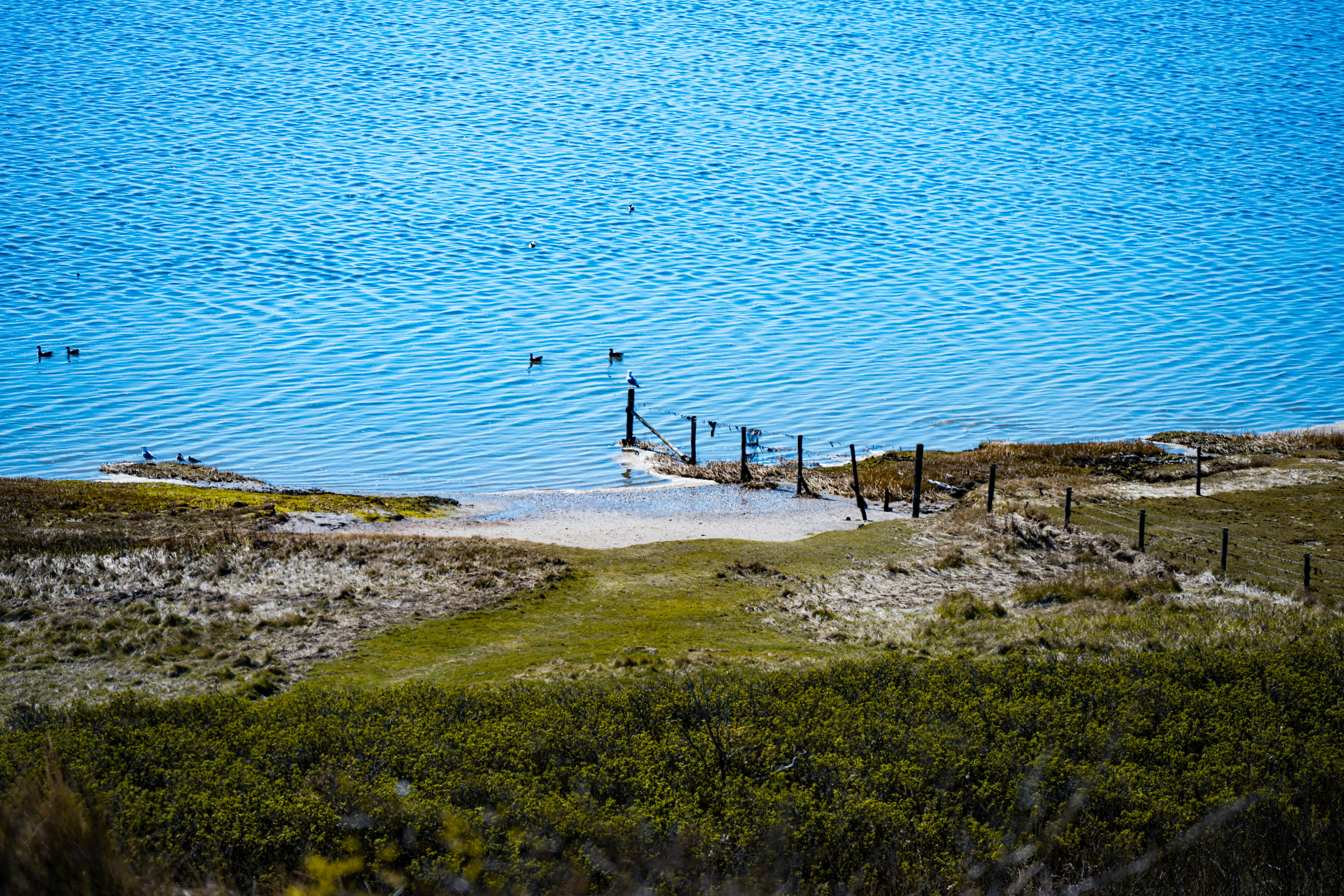 Photo by justmejuliee