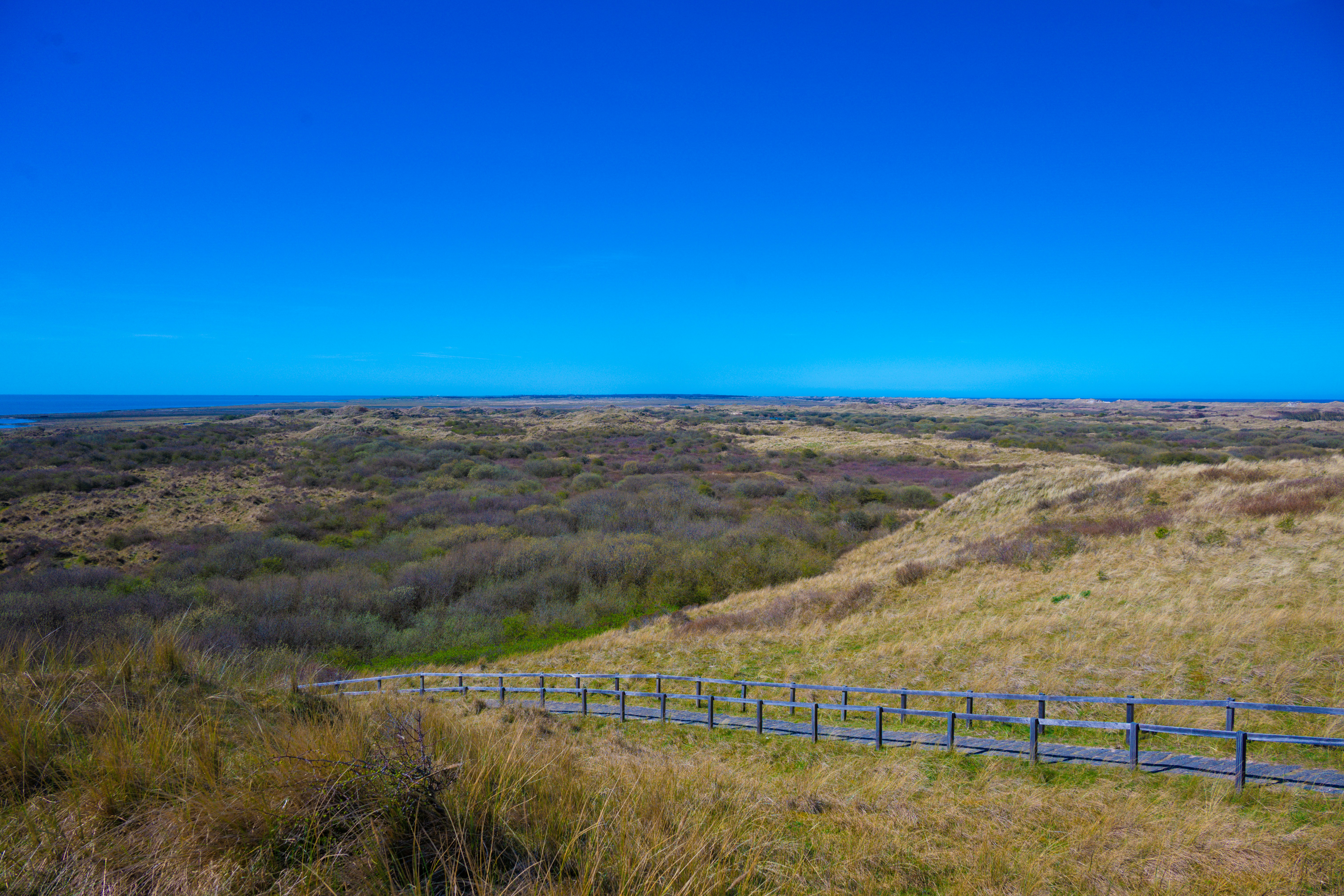 Grassy dunes under a clear blue sky