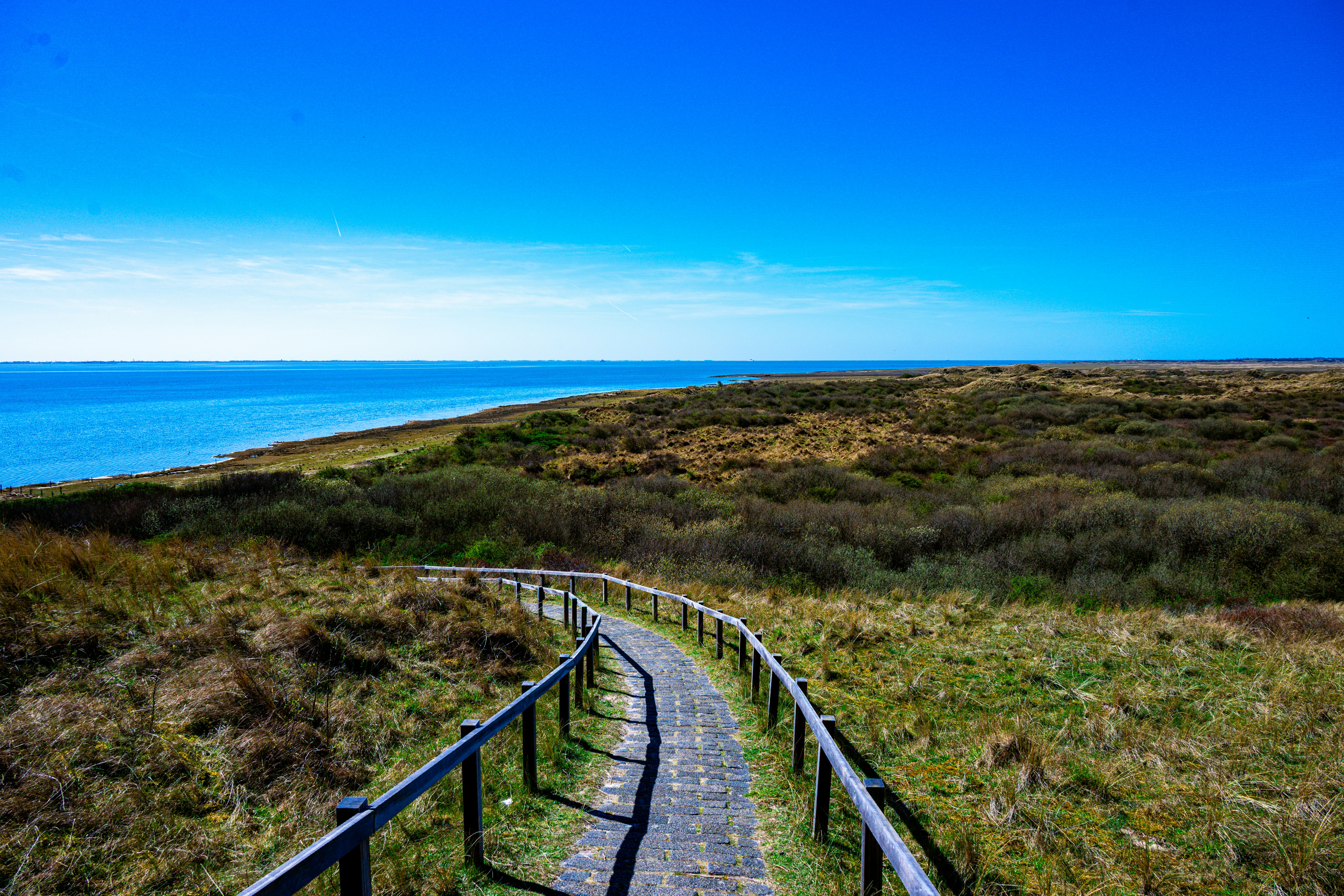 A paved walkway winds through grassy dunes towards the ocean.
