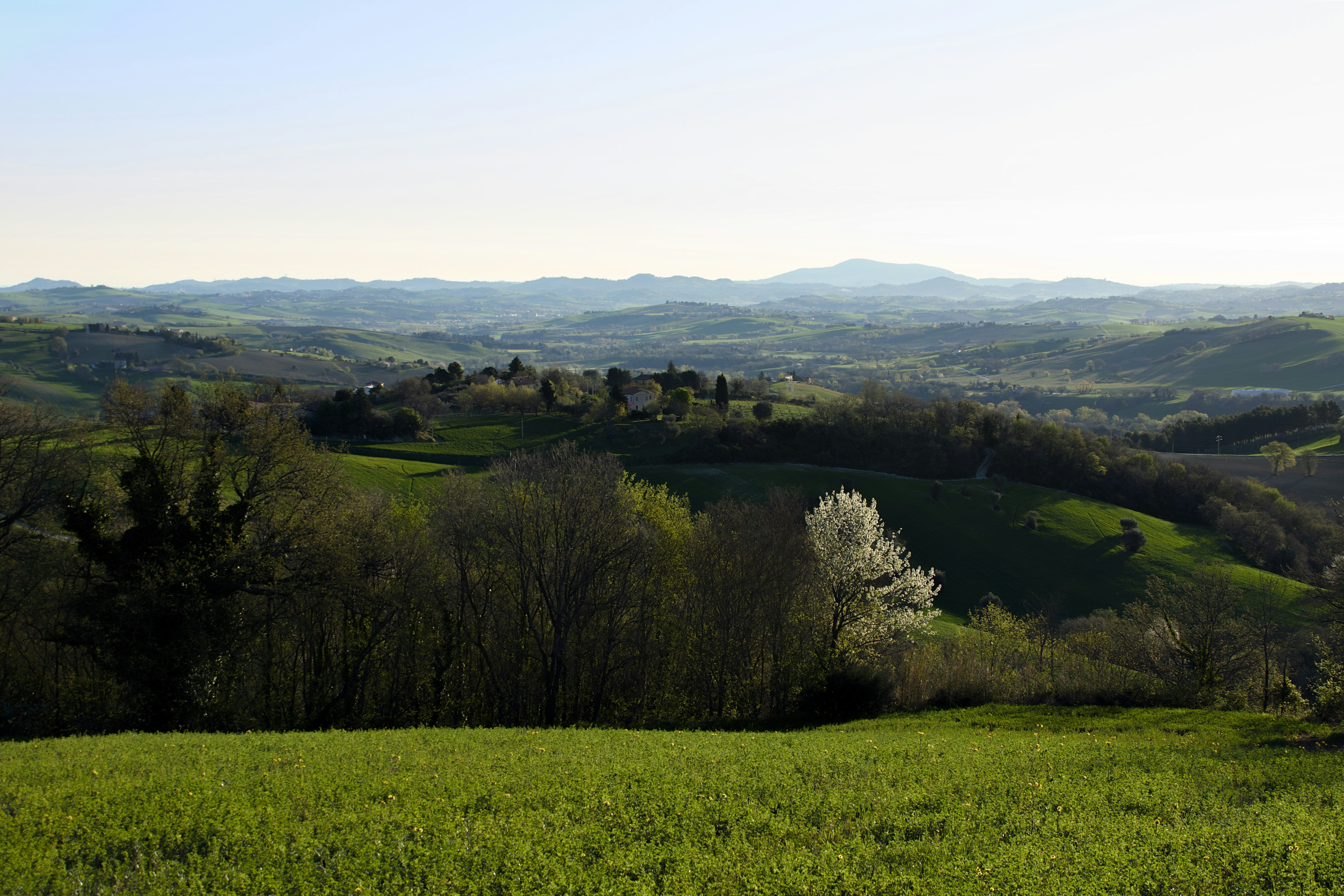 Rolling green hills with a village in the distance