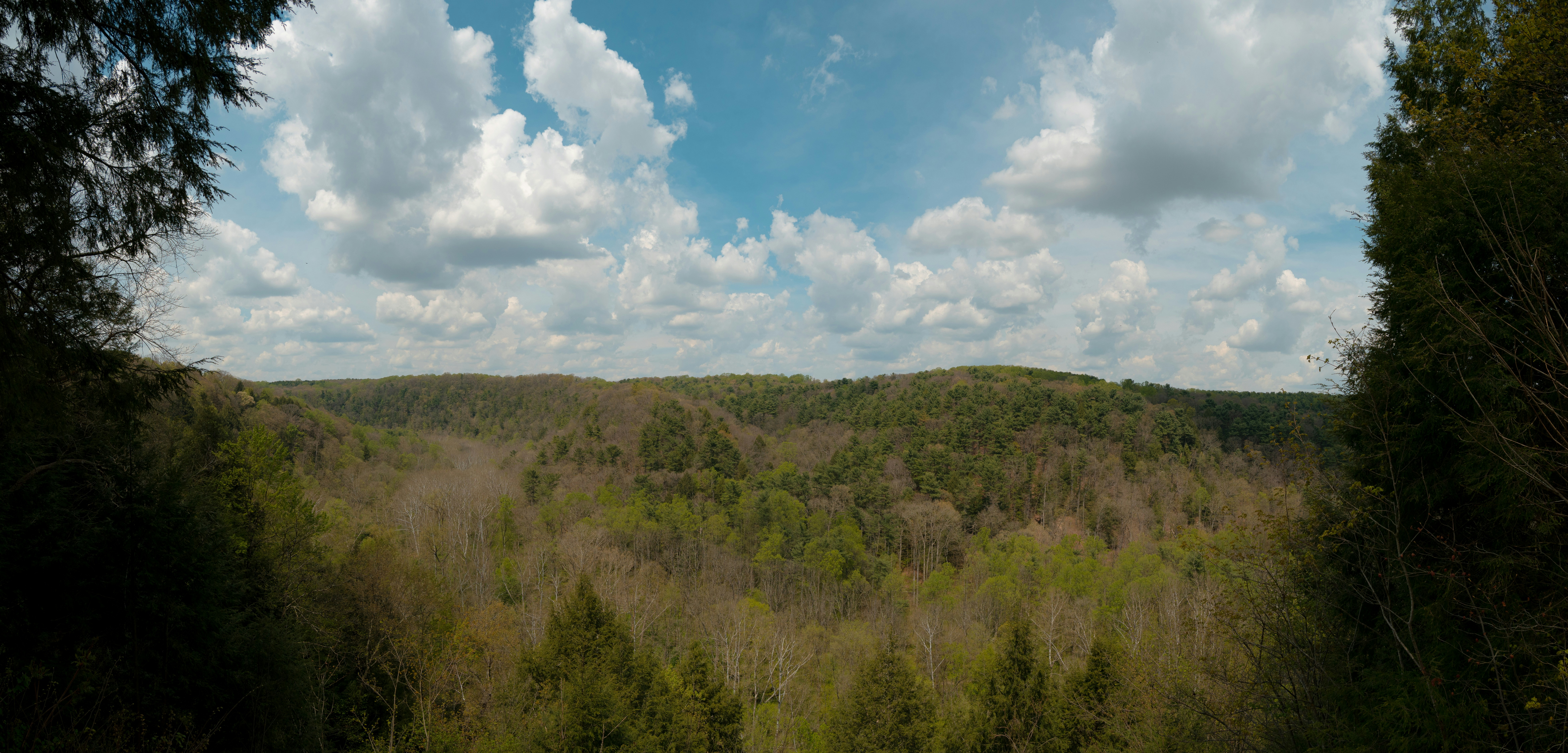 Rolling hills covered in green trees under a cloudy sky