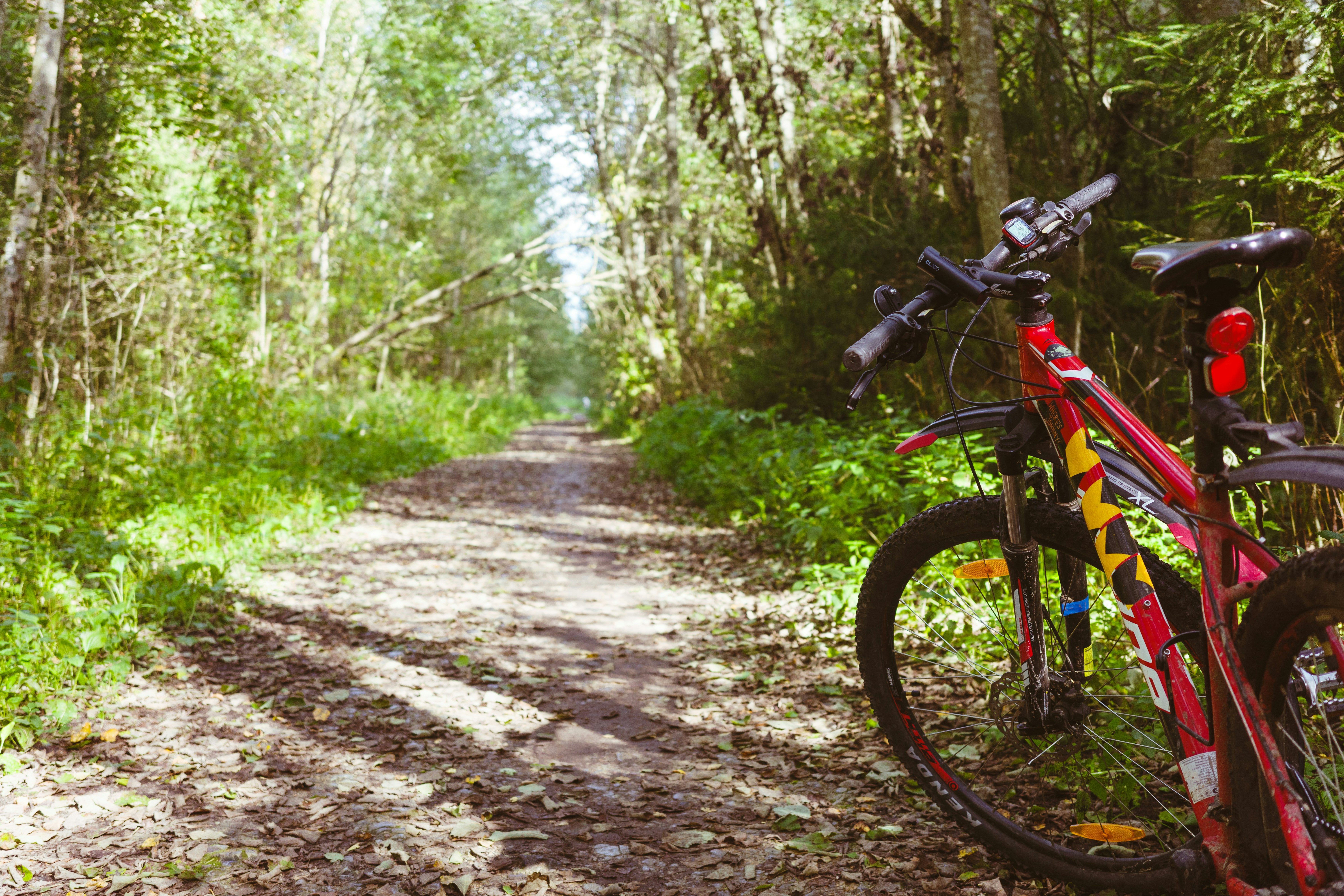 Red bicycle parked on a forest path.