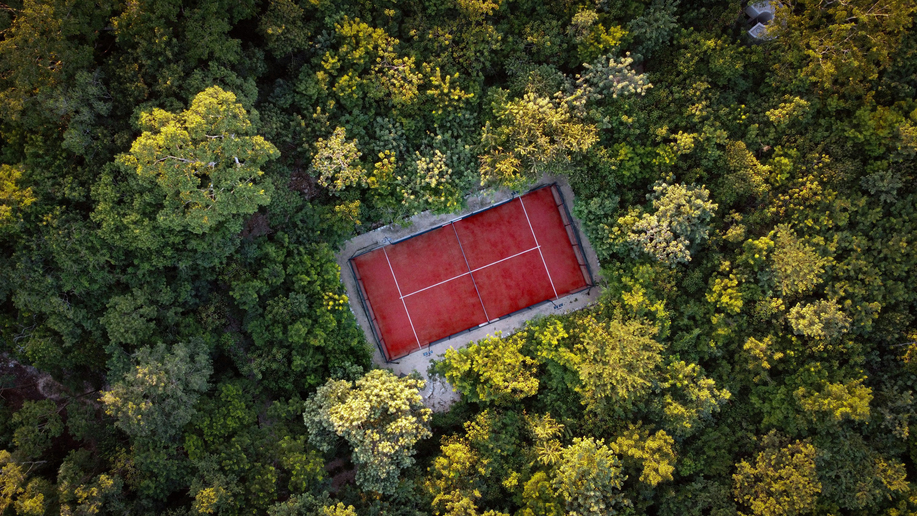 Court de tennis rouge entouré d’arbres verts luxuriants.