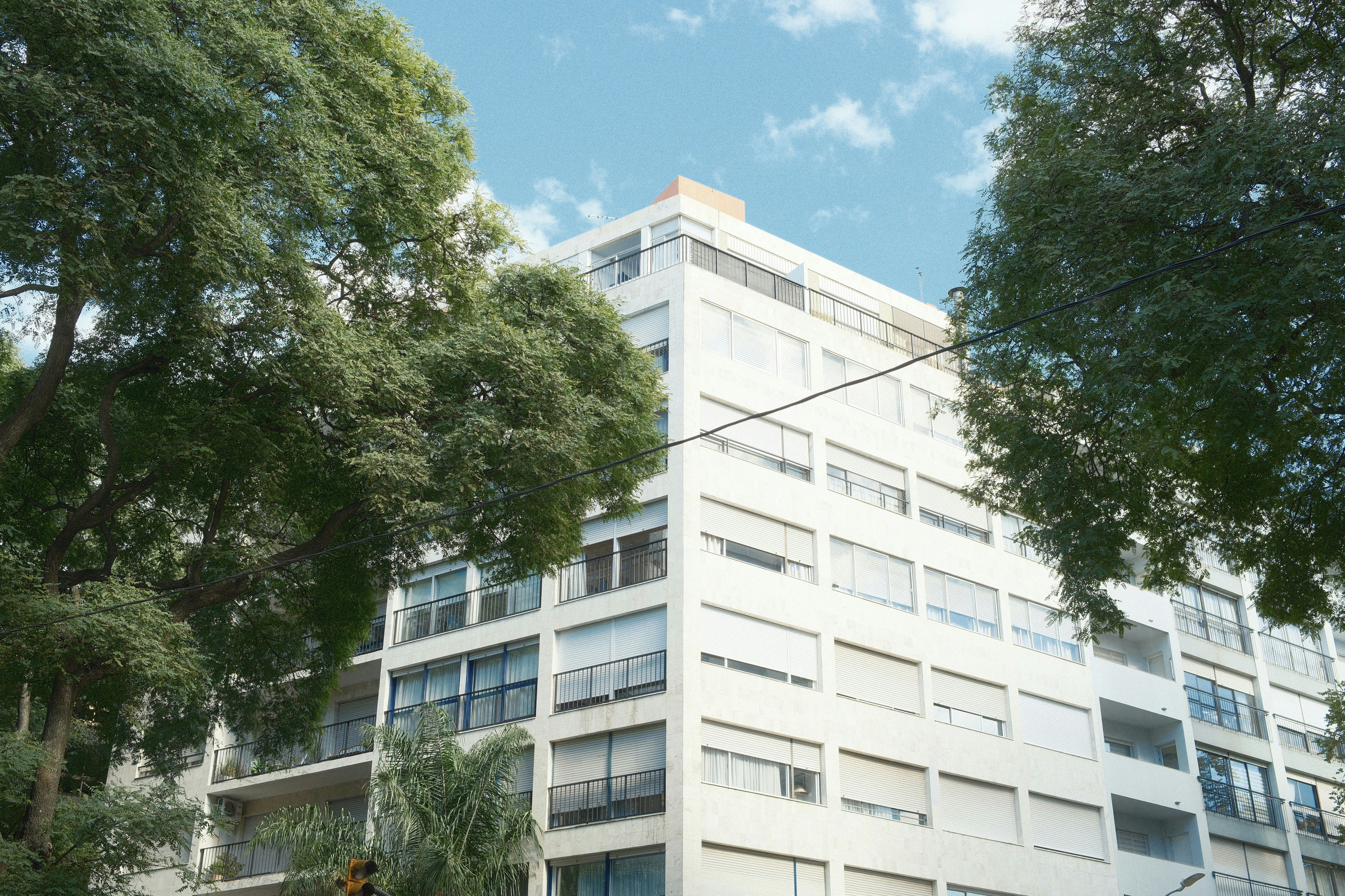 Modern white apartment building with trees in foreground. Urban architecture, residential area, clean lines, city life, real estate aesthetic, contemporary design.