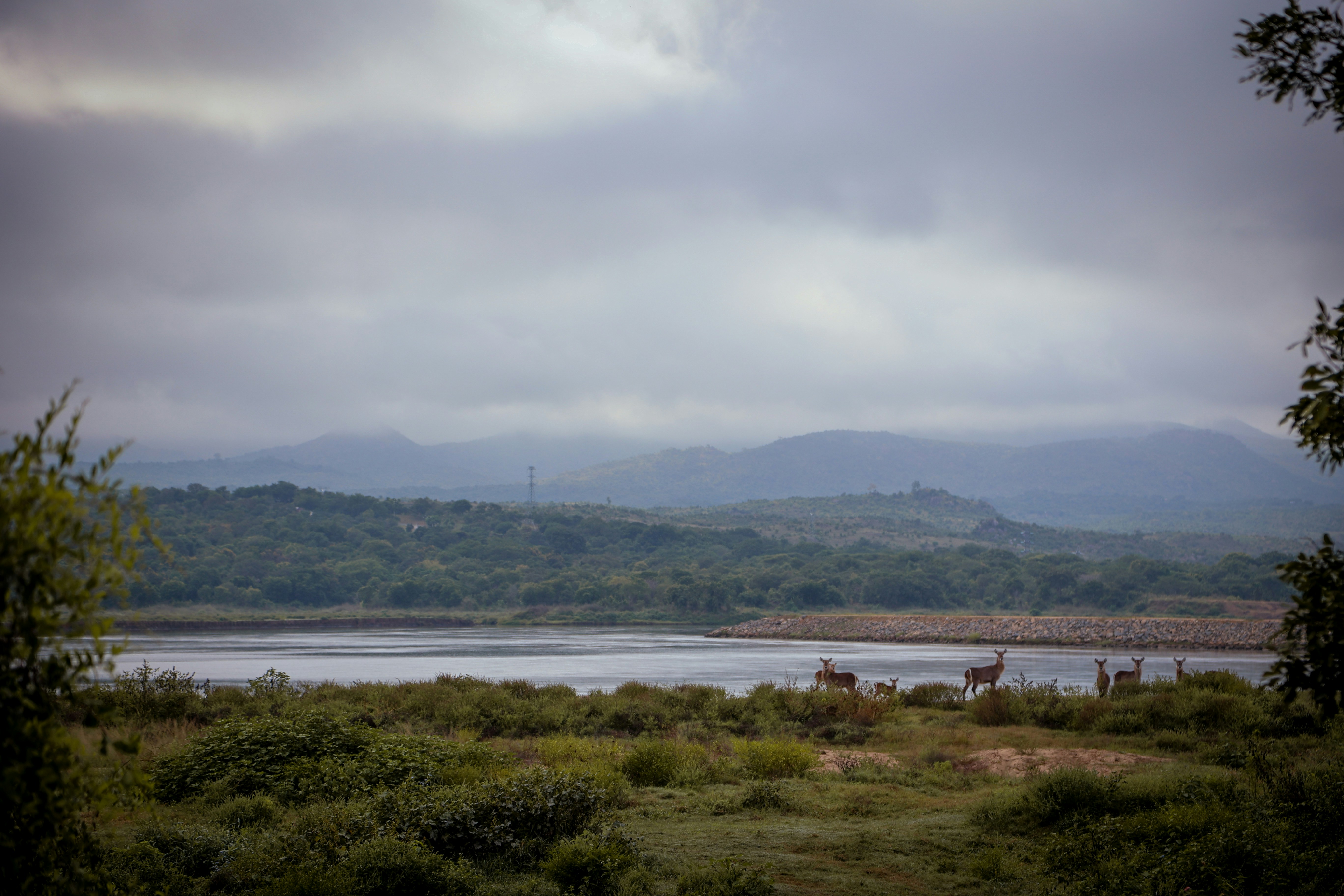 water conservation Malawi