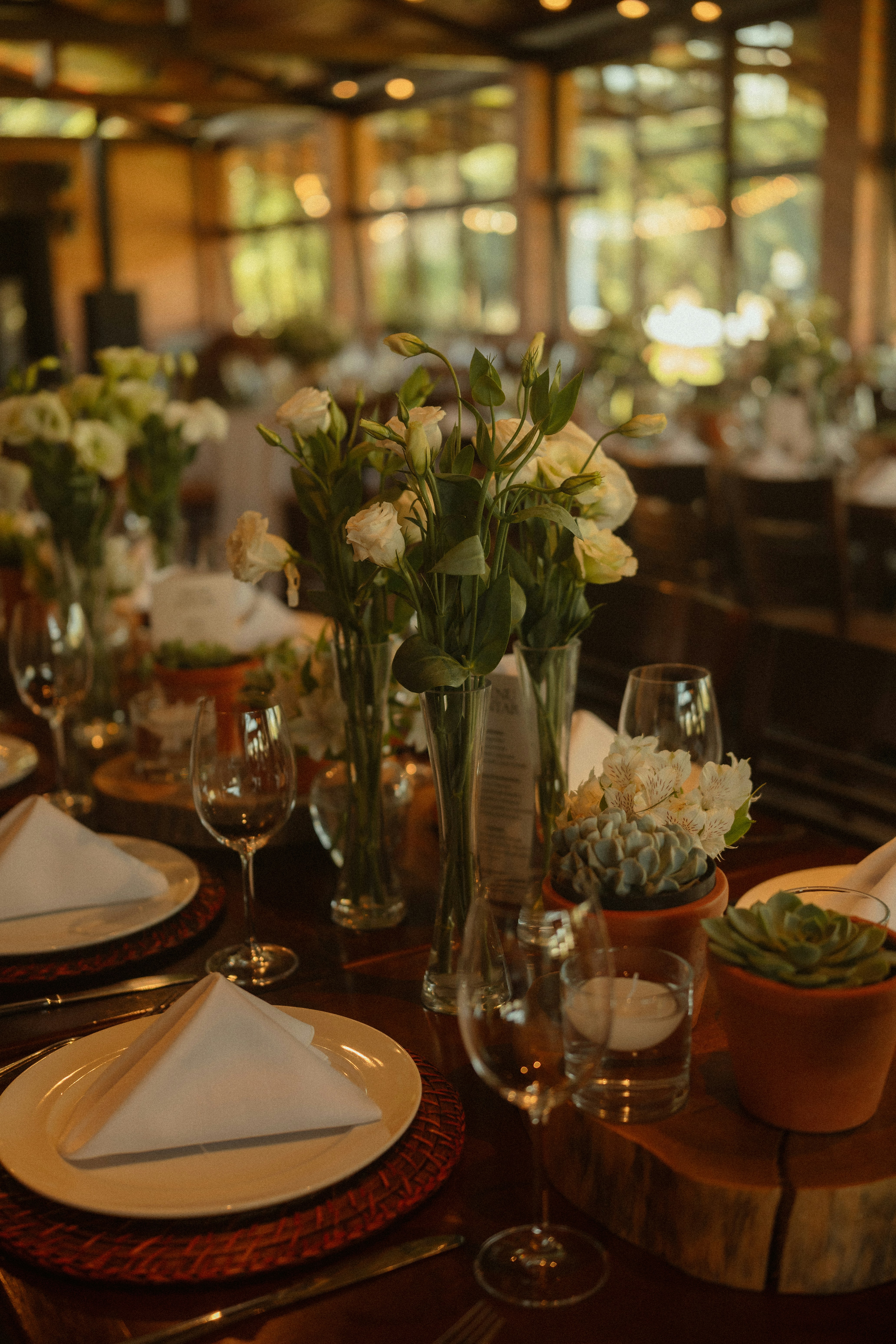 Cover Image for Dinner with Women leading Biotech & Life Sciences in India
