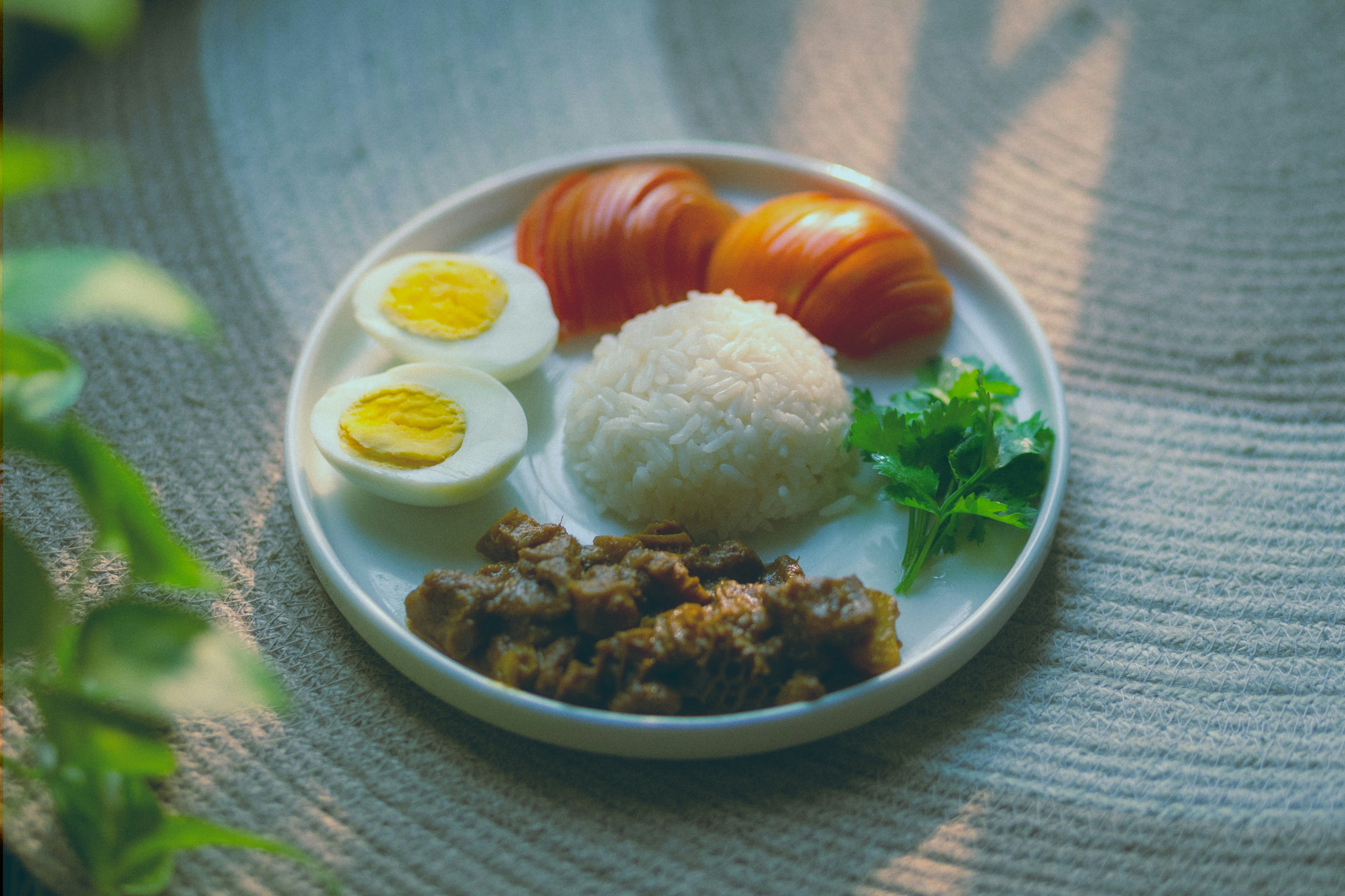 Sepiring nasi, telur, tomat, dan daging.