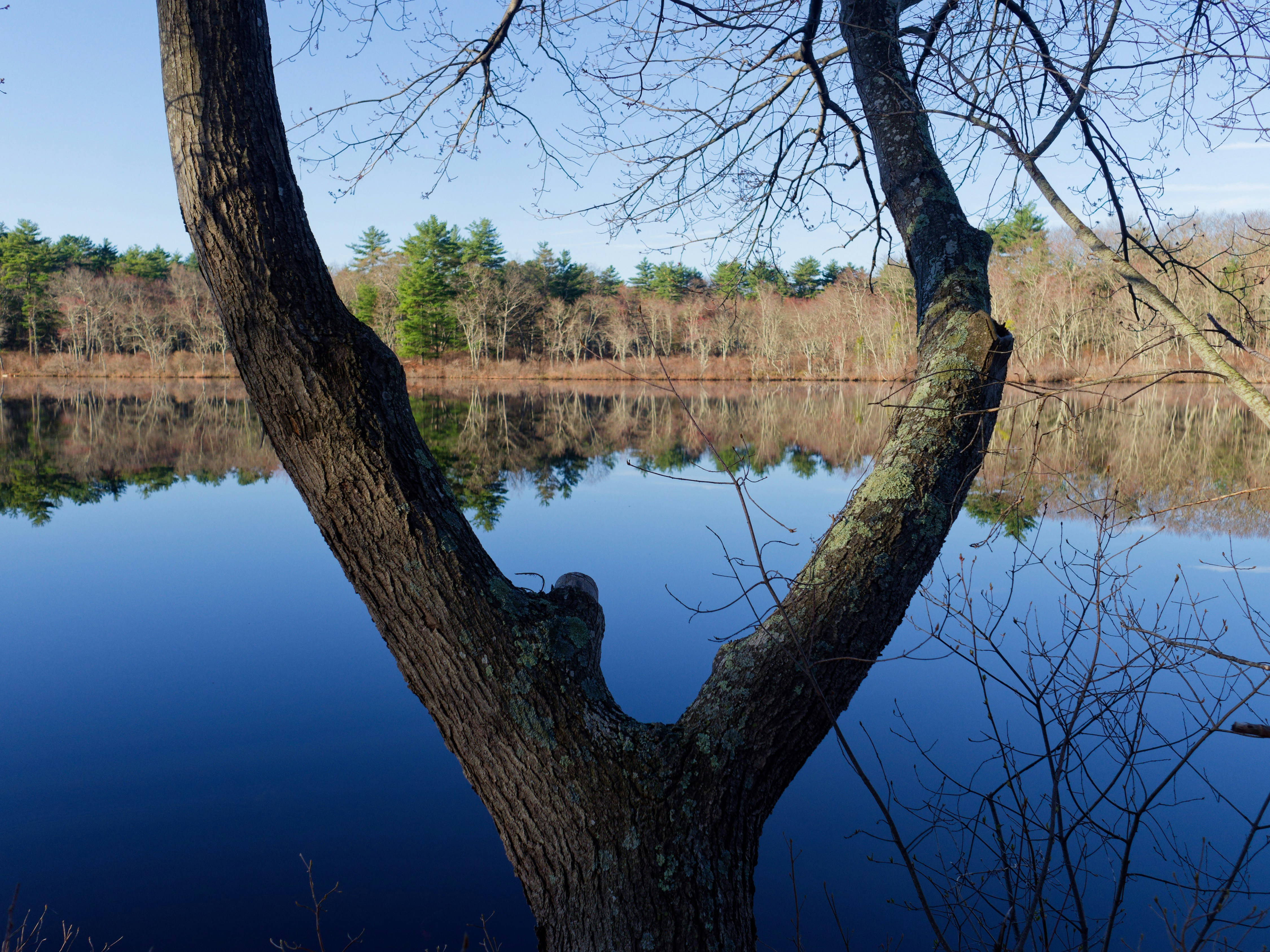 The Science of Still Water Reflection: Why Windless Nights Matter - heat lightning prairie ponds