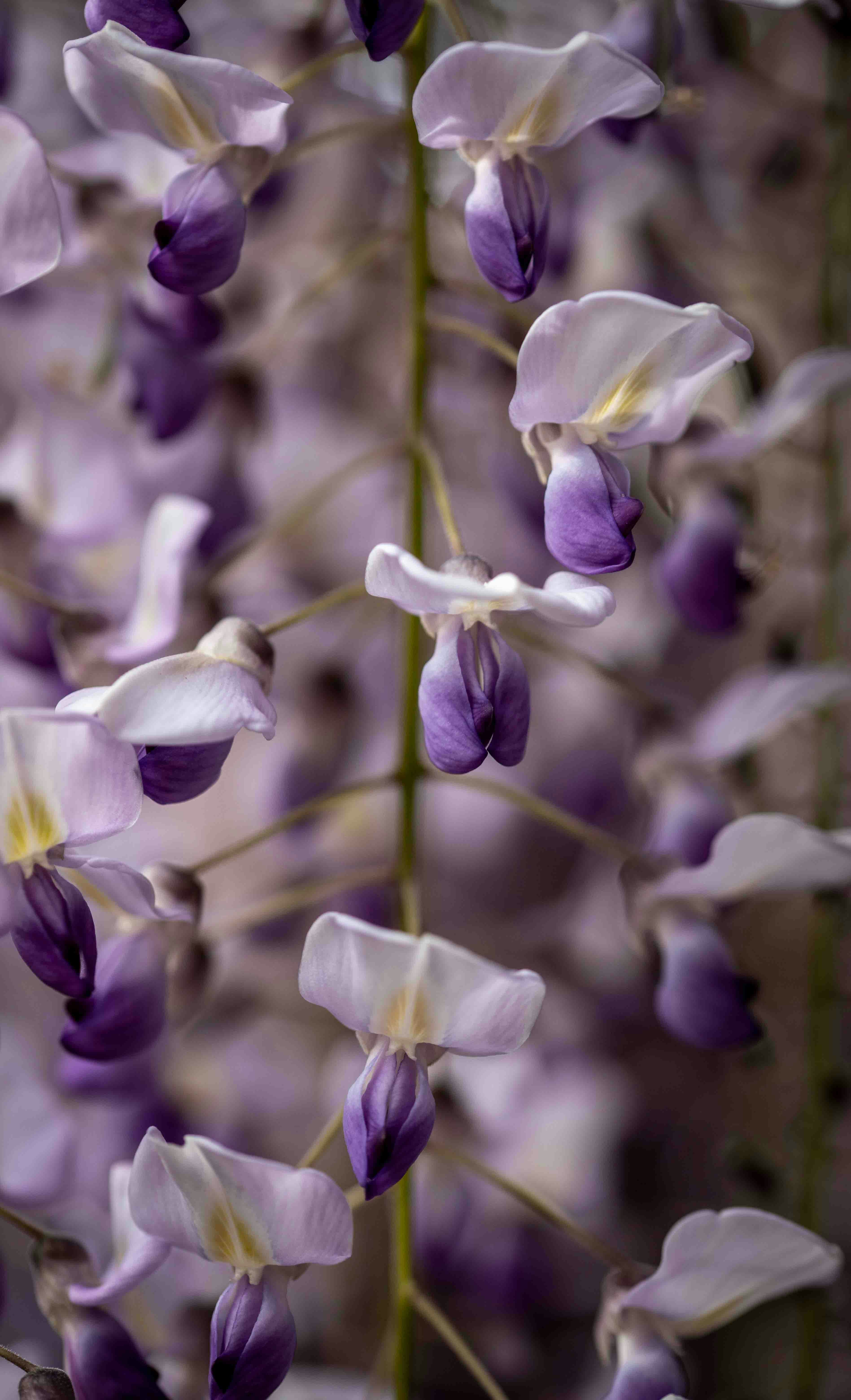 Photo by hdbernd