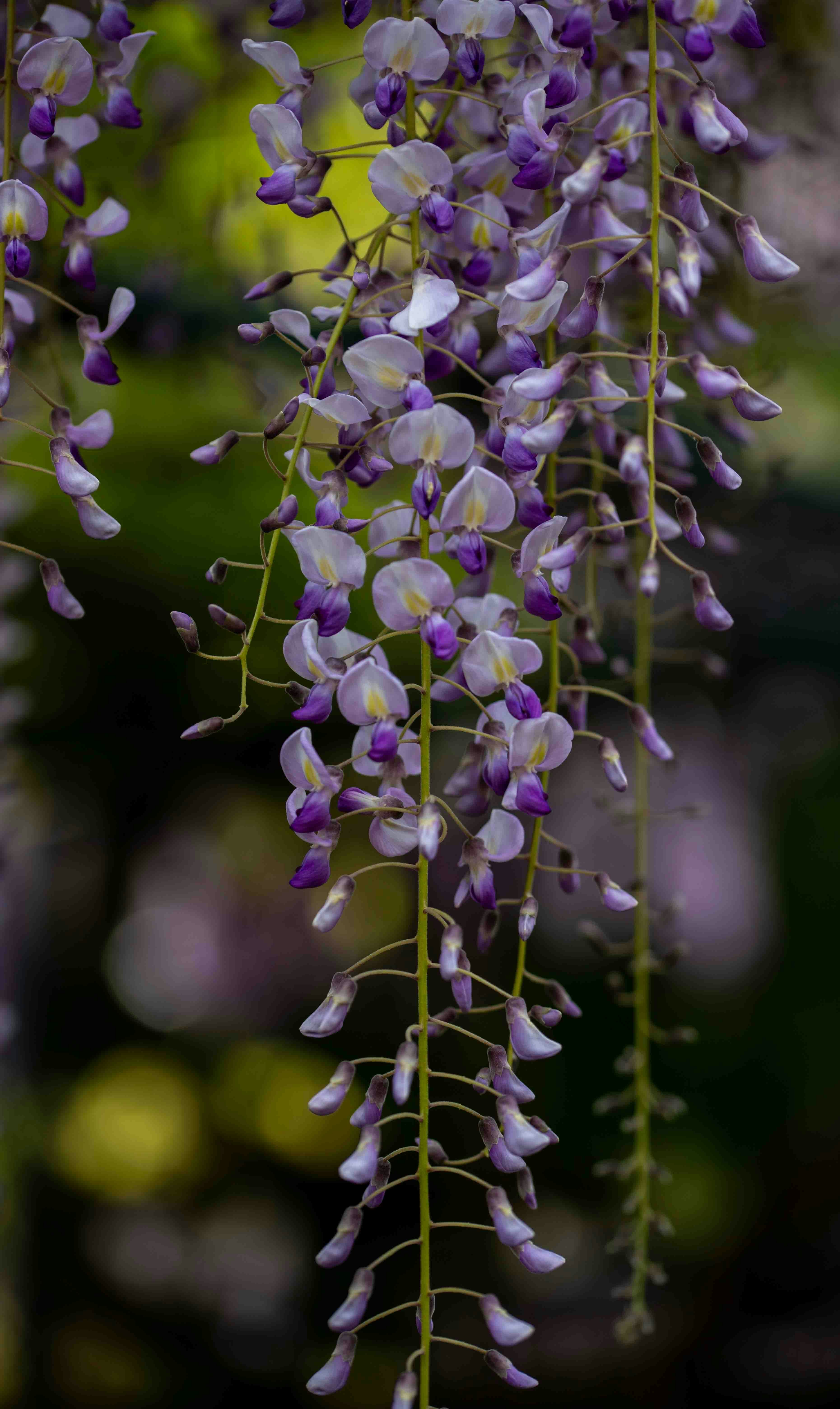 Photo by hdbernd