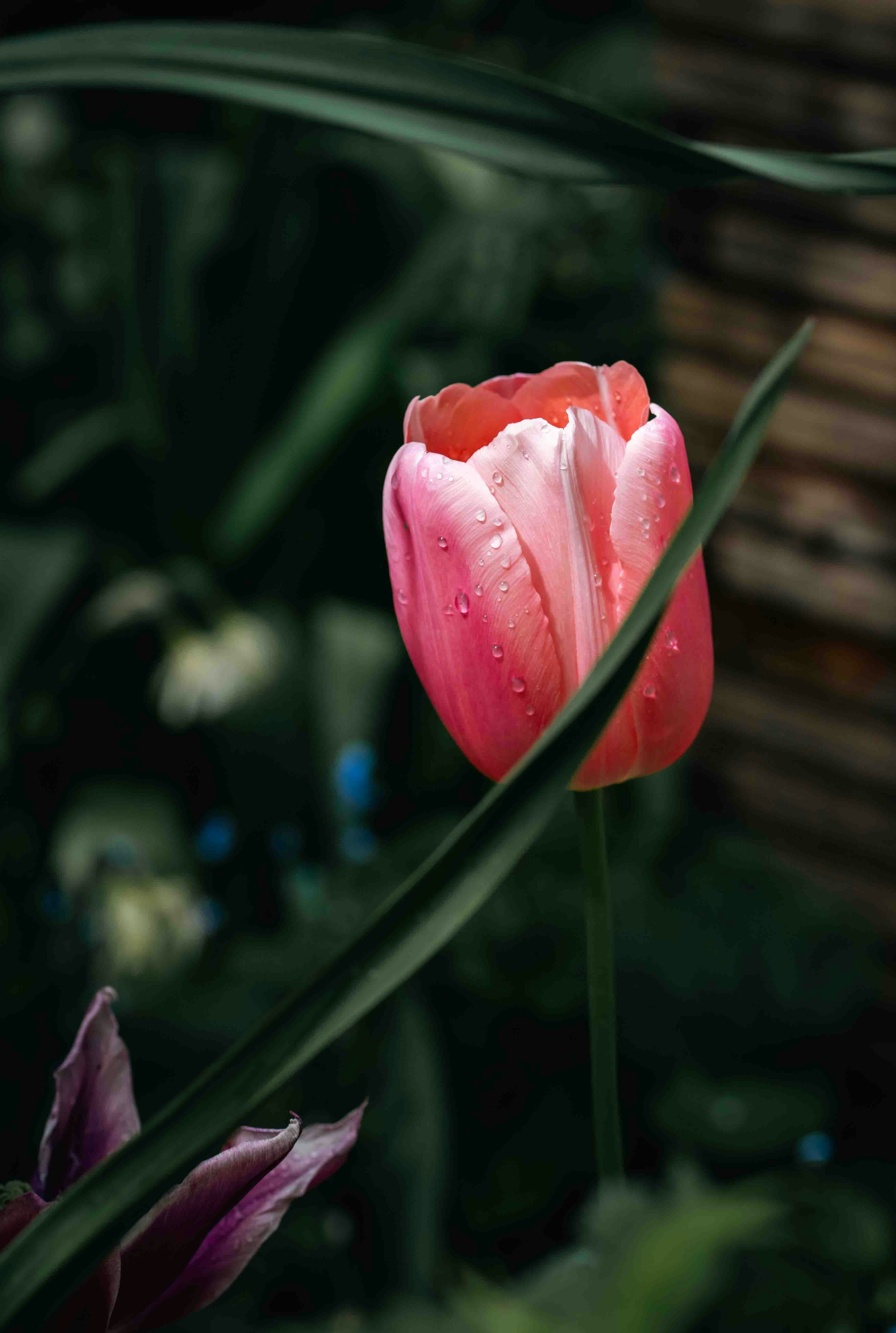 Photo by hdbernd