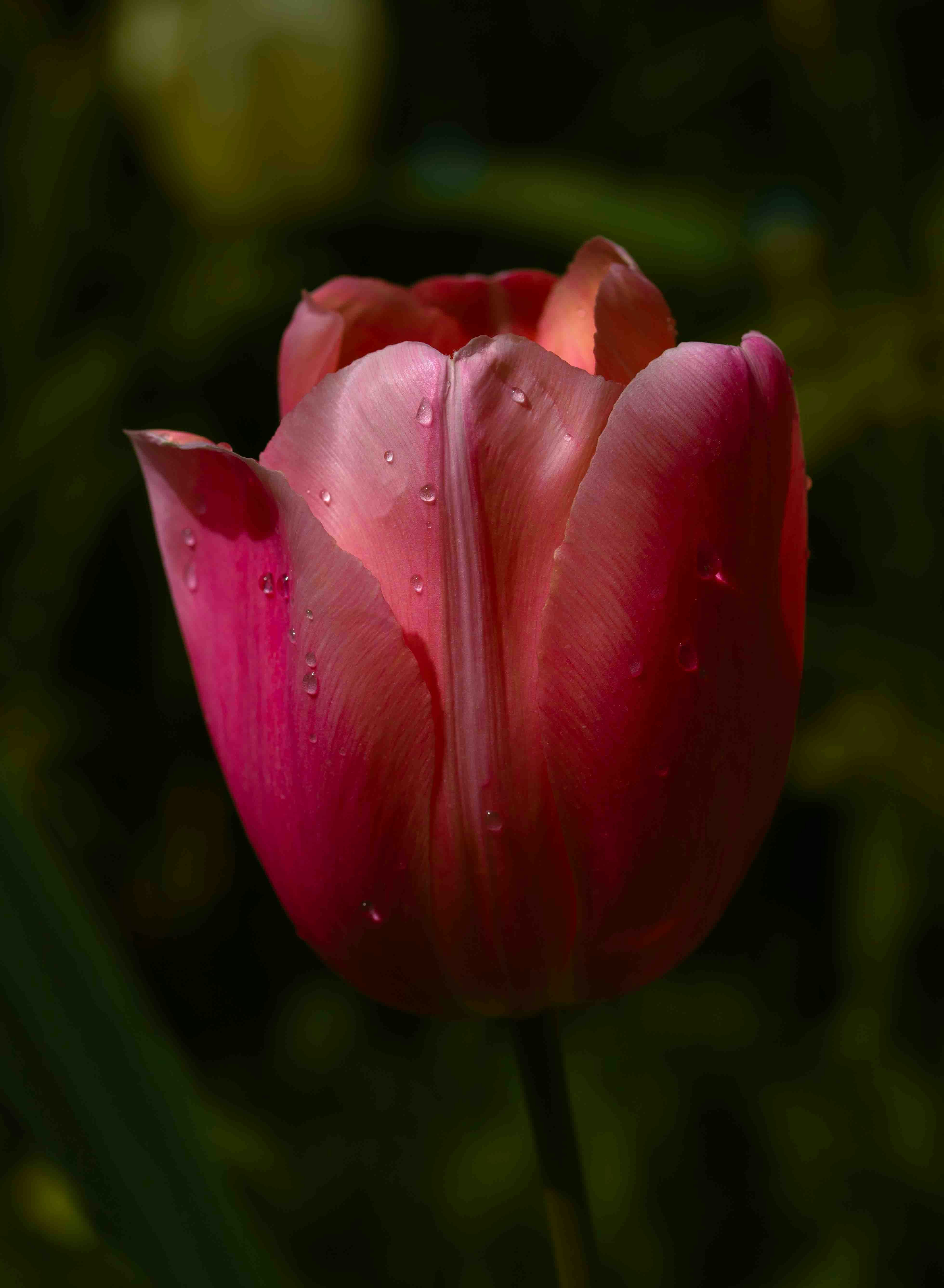 Photo by hdbernd