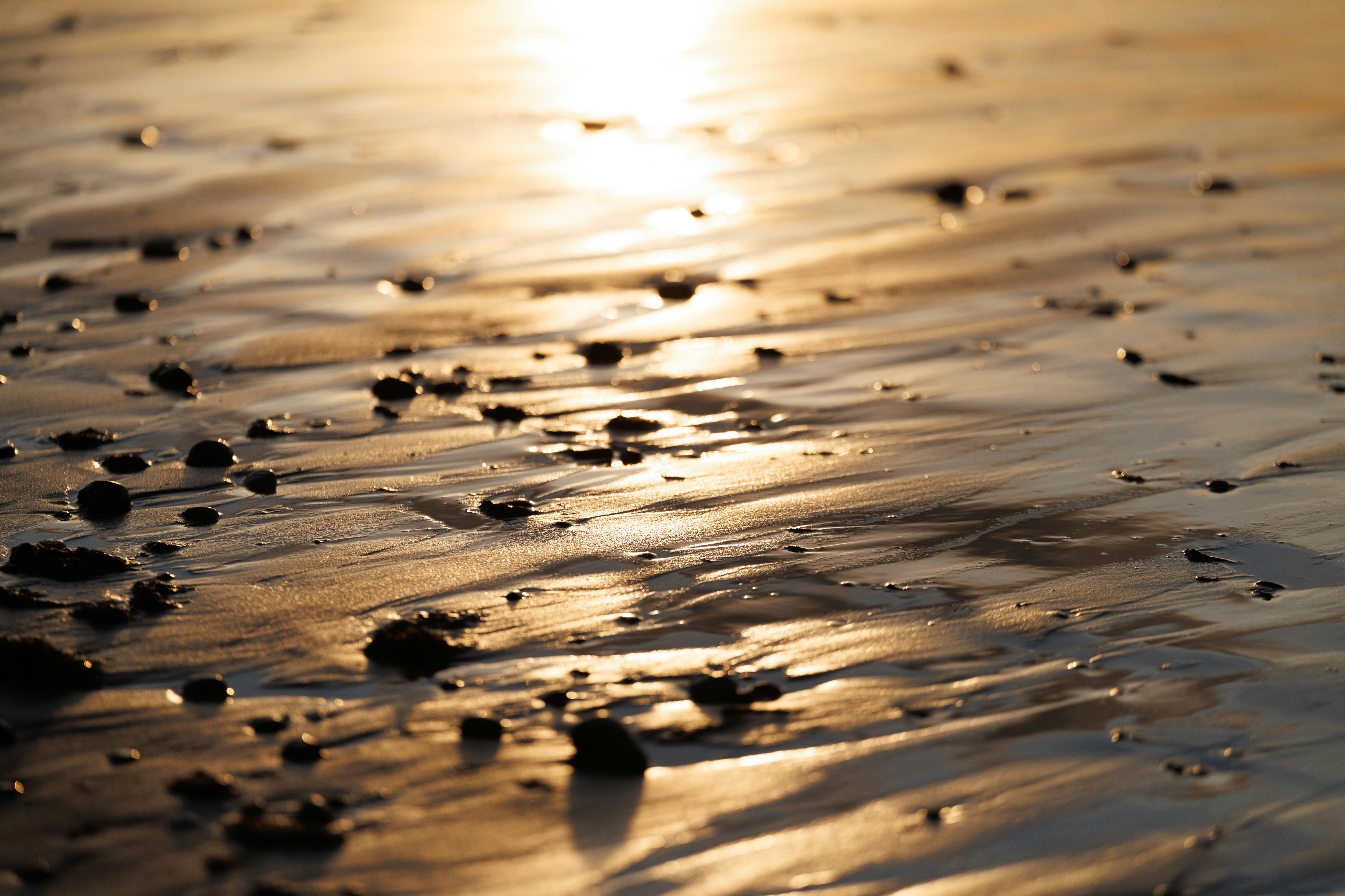 Golden sunset reflecting on wet sand with pebbles