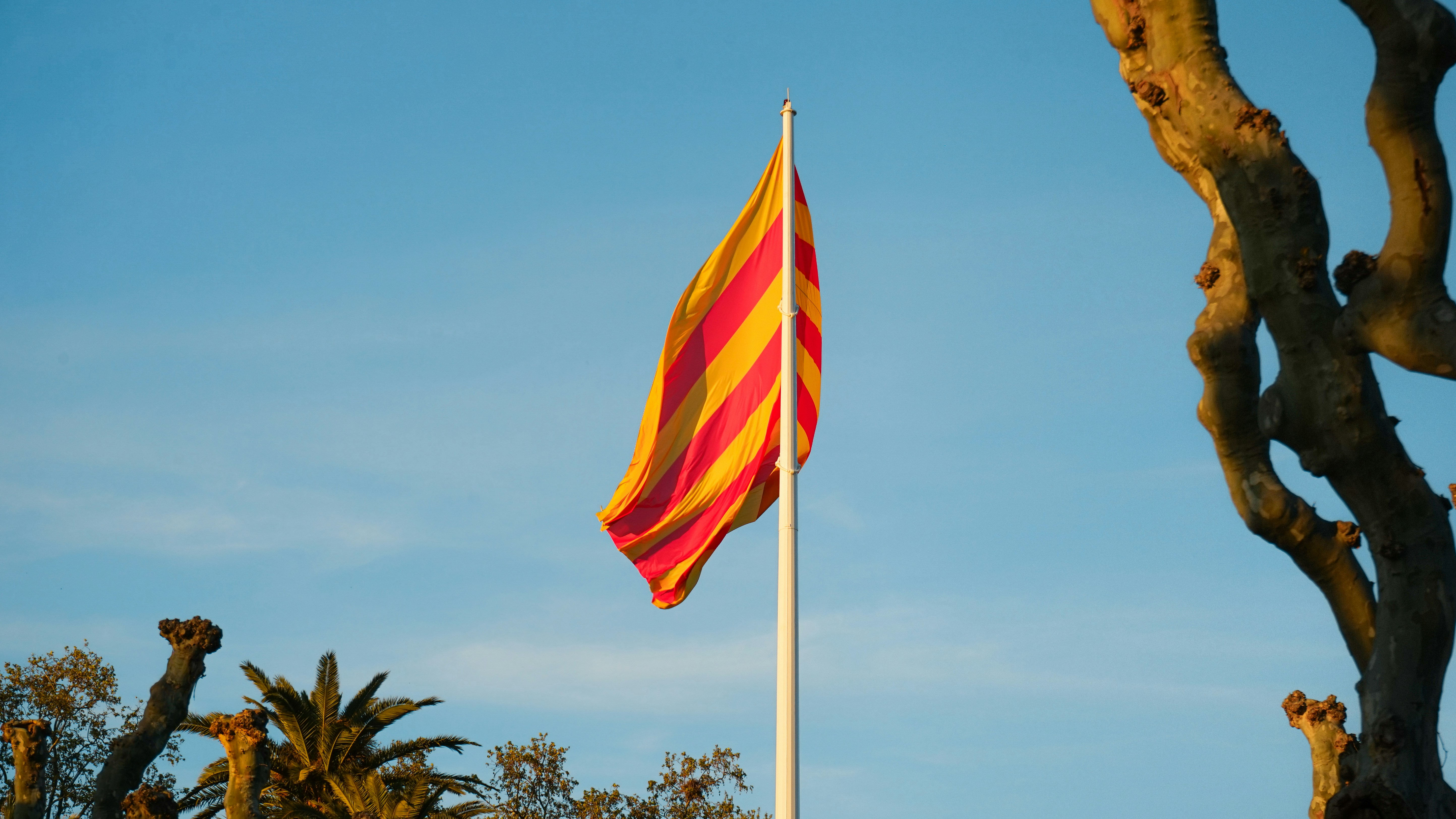 A striped flag waves against a clear blue sky.