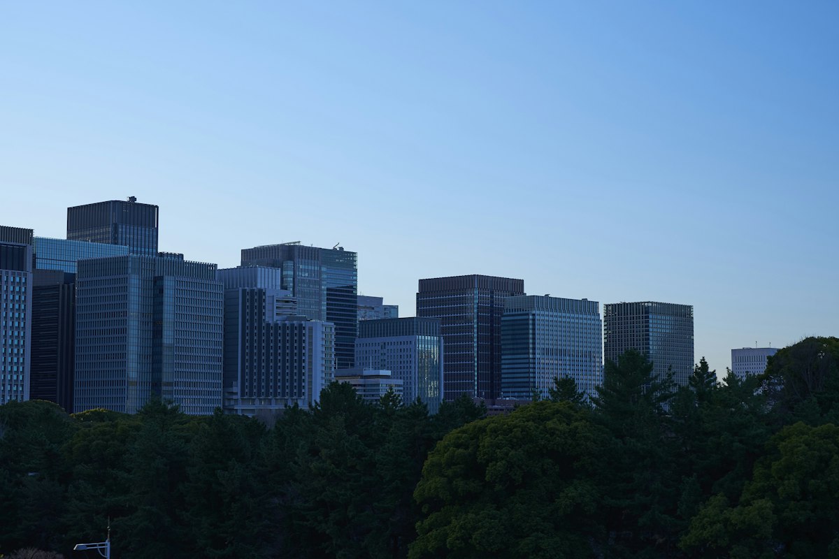 High-rise office building towering above green trees