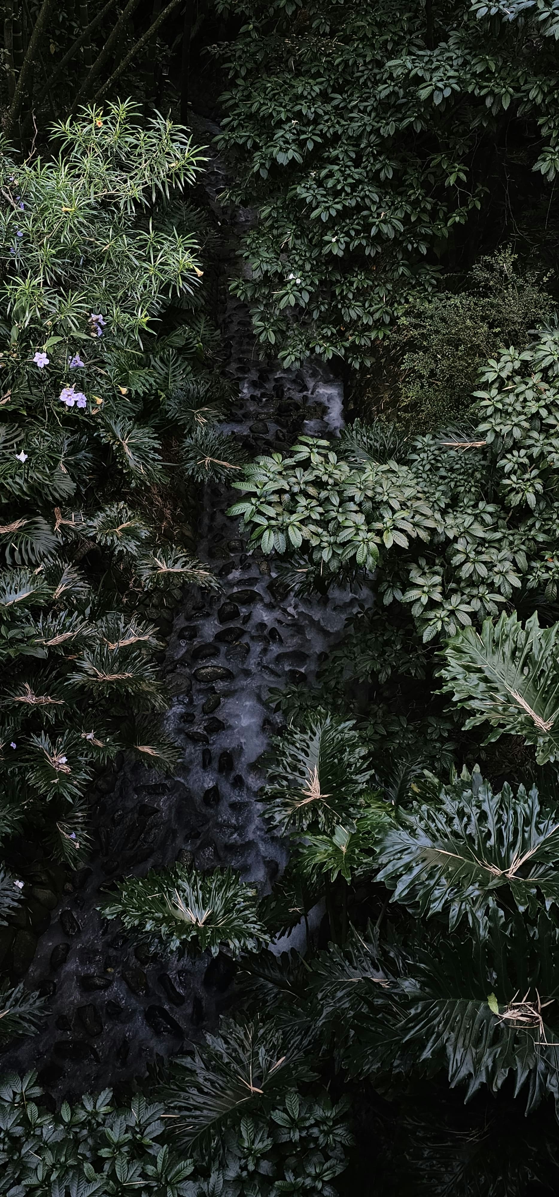 Rivière paisible et arbres pour comprendre l’expérience de La Macarena — image 25