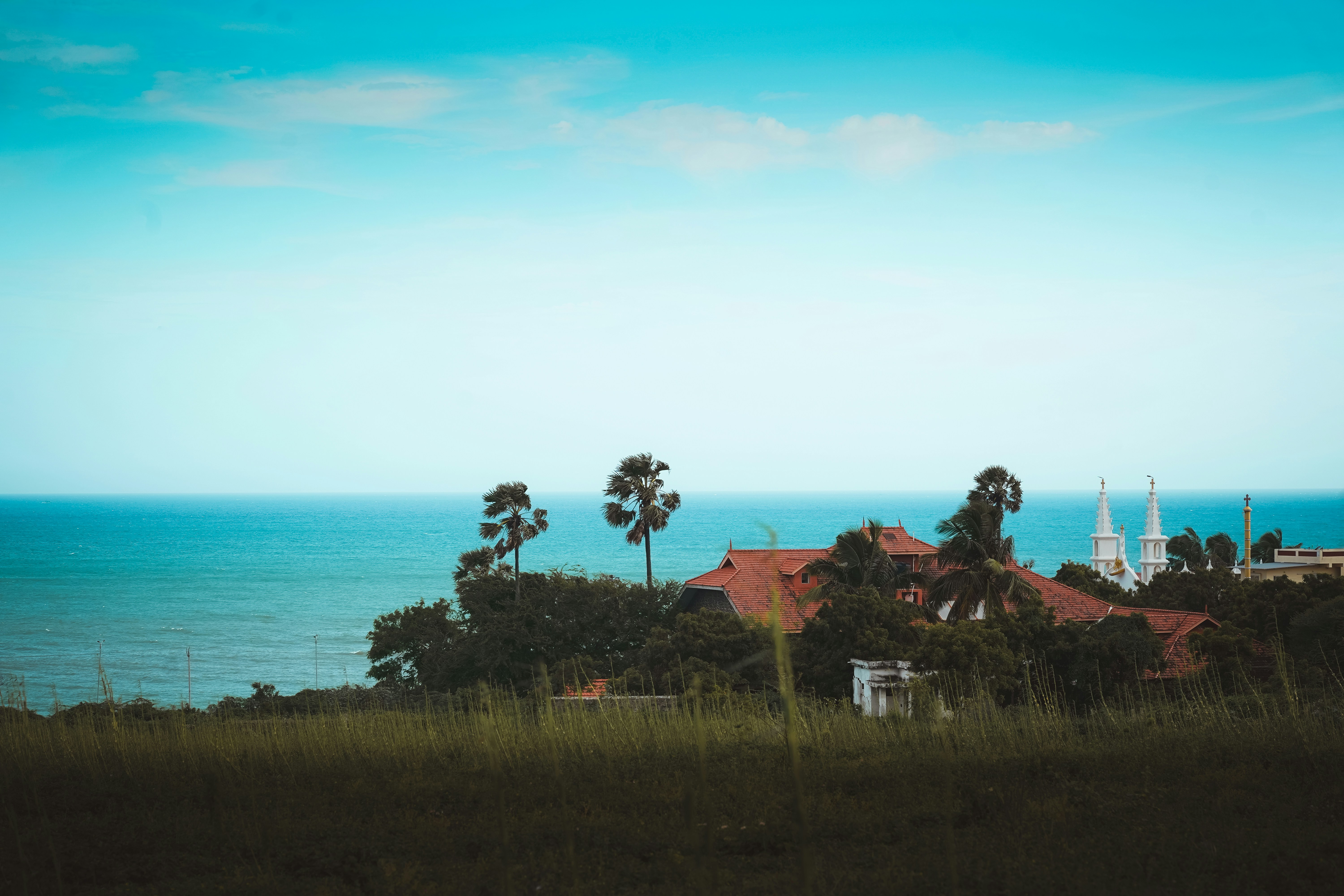 Coastal town with palm trees and white spires.