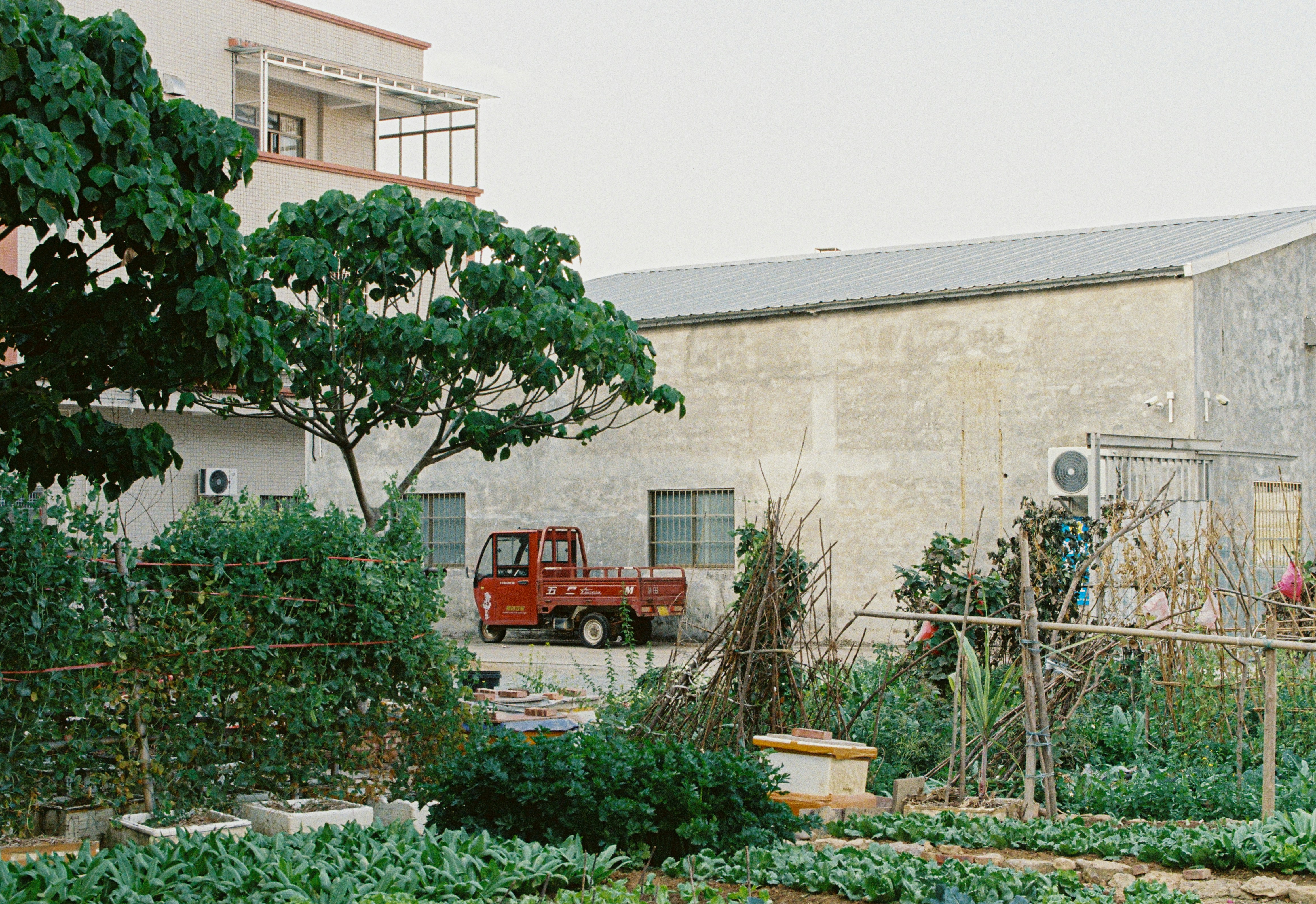 Red truck parked near a garden and building.