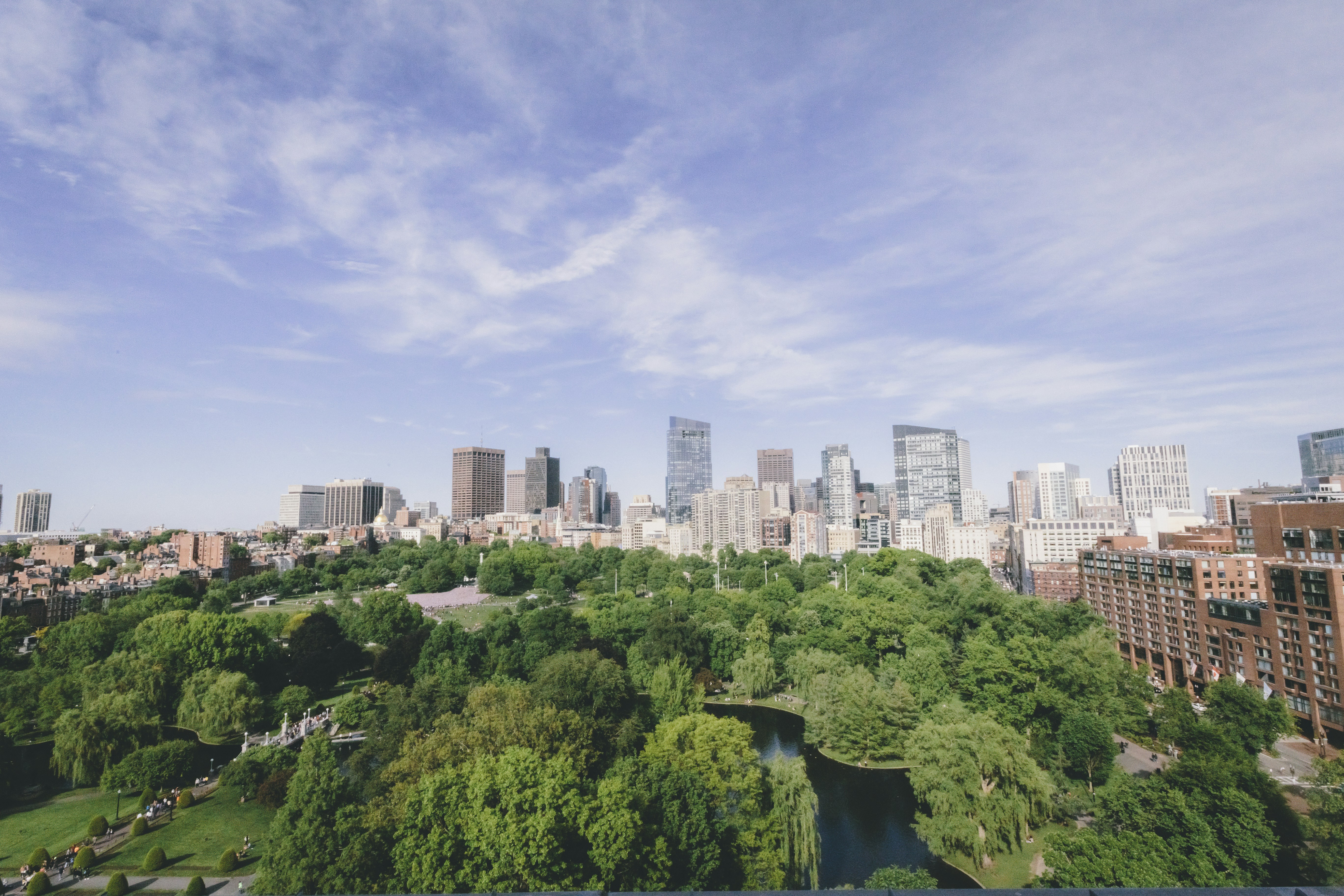 City skyline behind a lush green park.