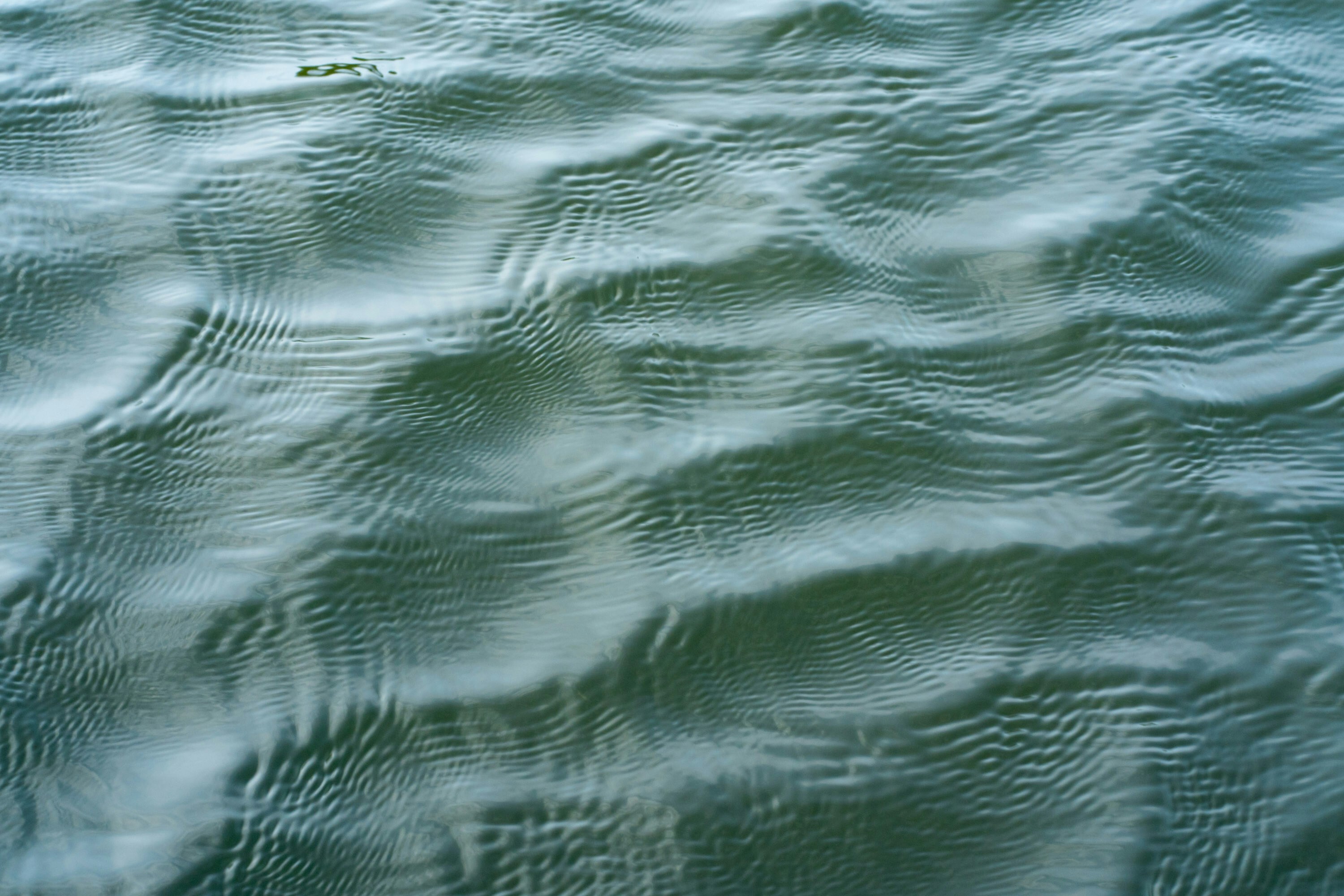 Gentle ripples on dark green water surface