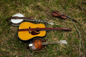 Acoustic guitar, banjo, mandolin, and violin on grass