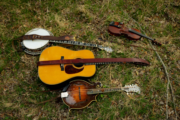 Acoustic guitar, banjo, mandolin, and violin on grass
