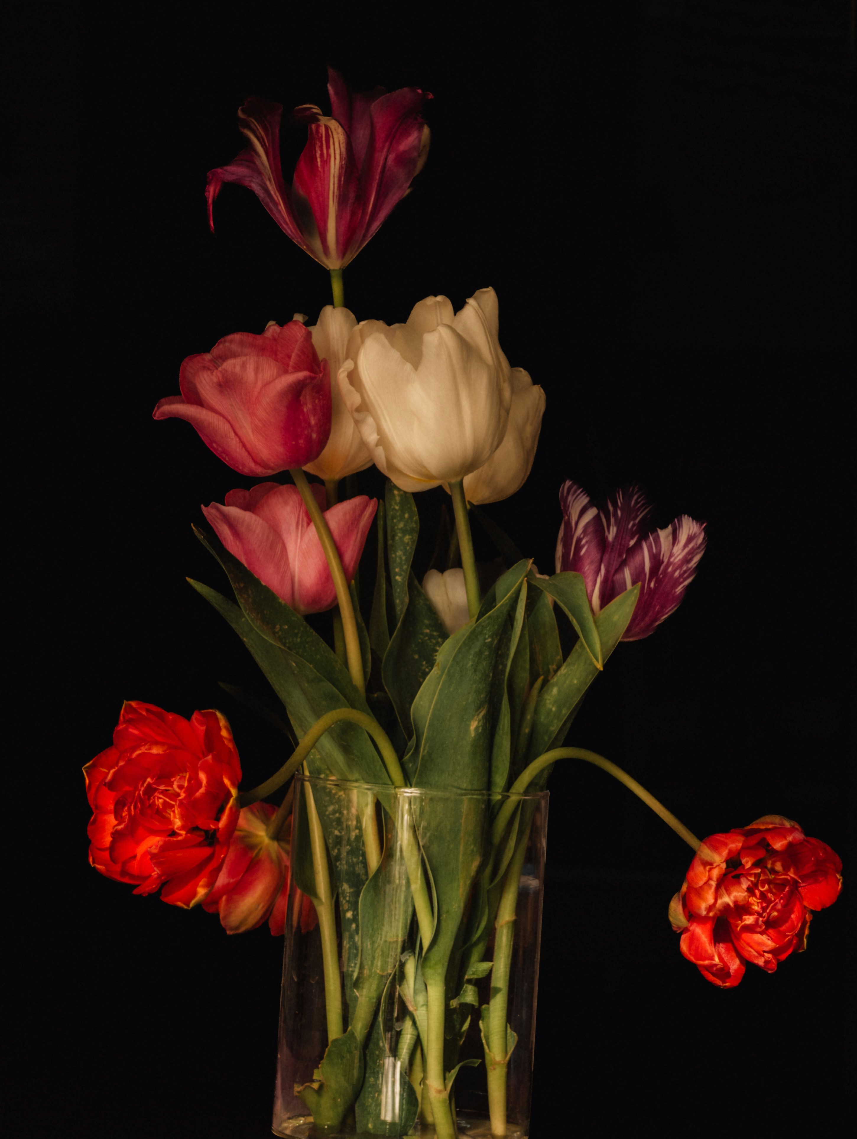 A bouquet of colorful tulips in a glass vase.