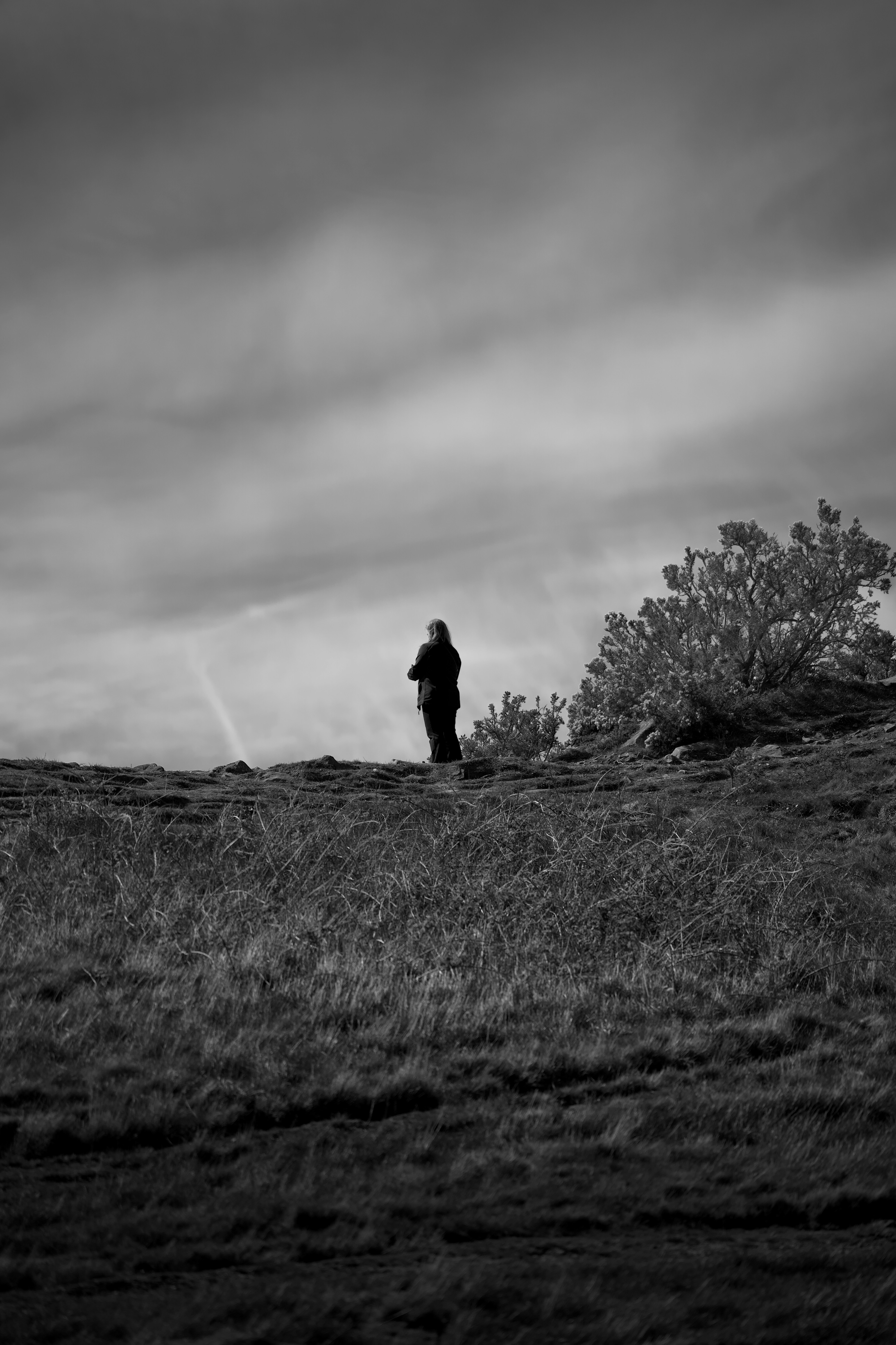 Photo by brunobd