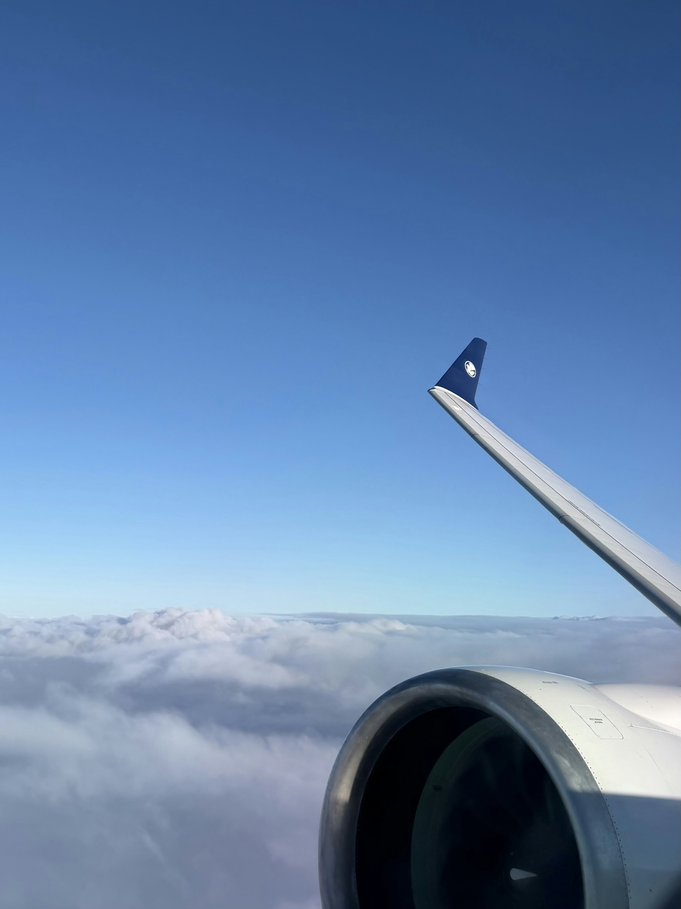 Ala e motore dell'aereo sopra le nuvole