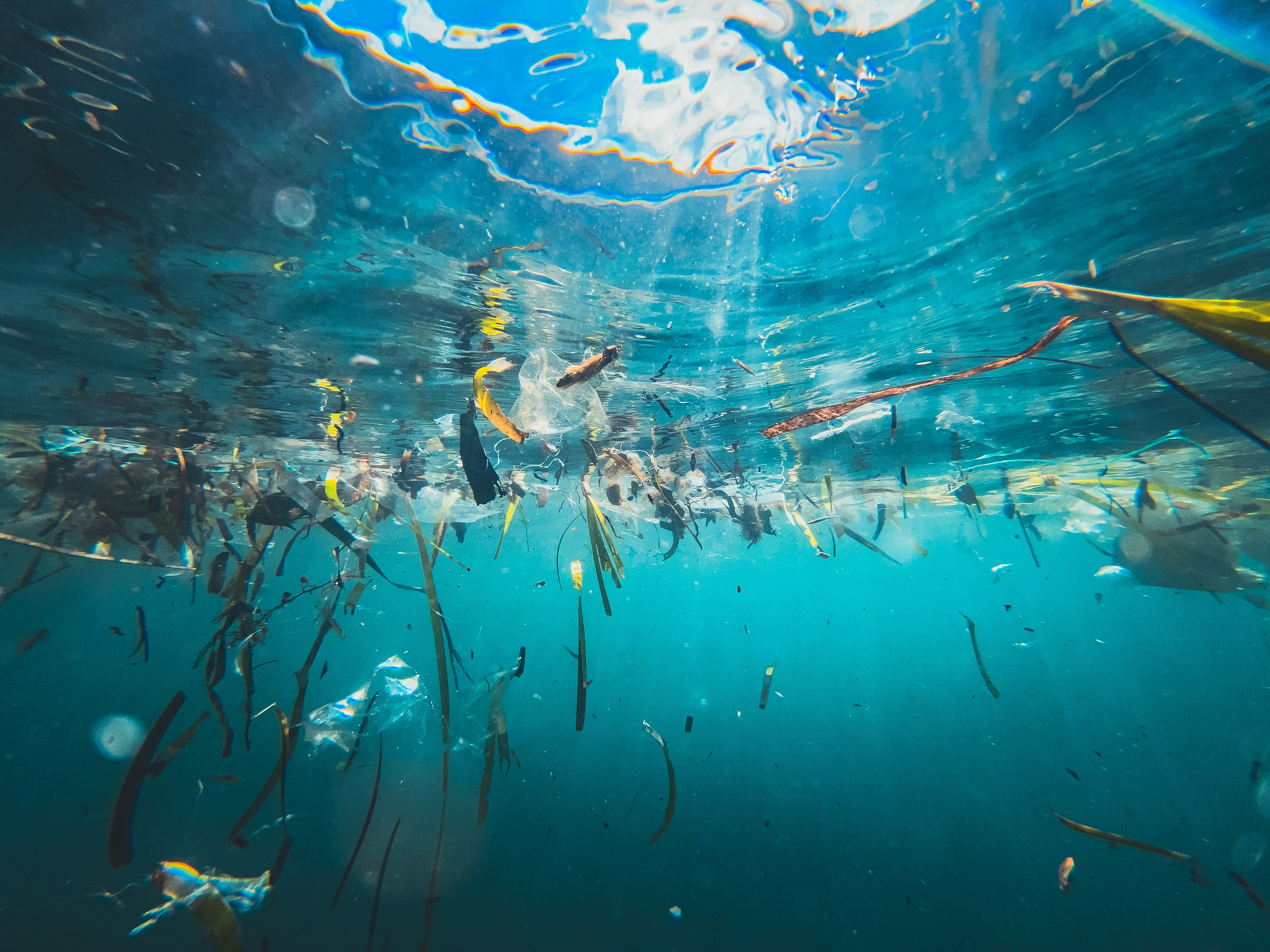 La surface de l’océan jonchée de débris plastiques et de matériaux naturels.