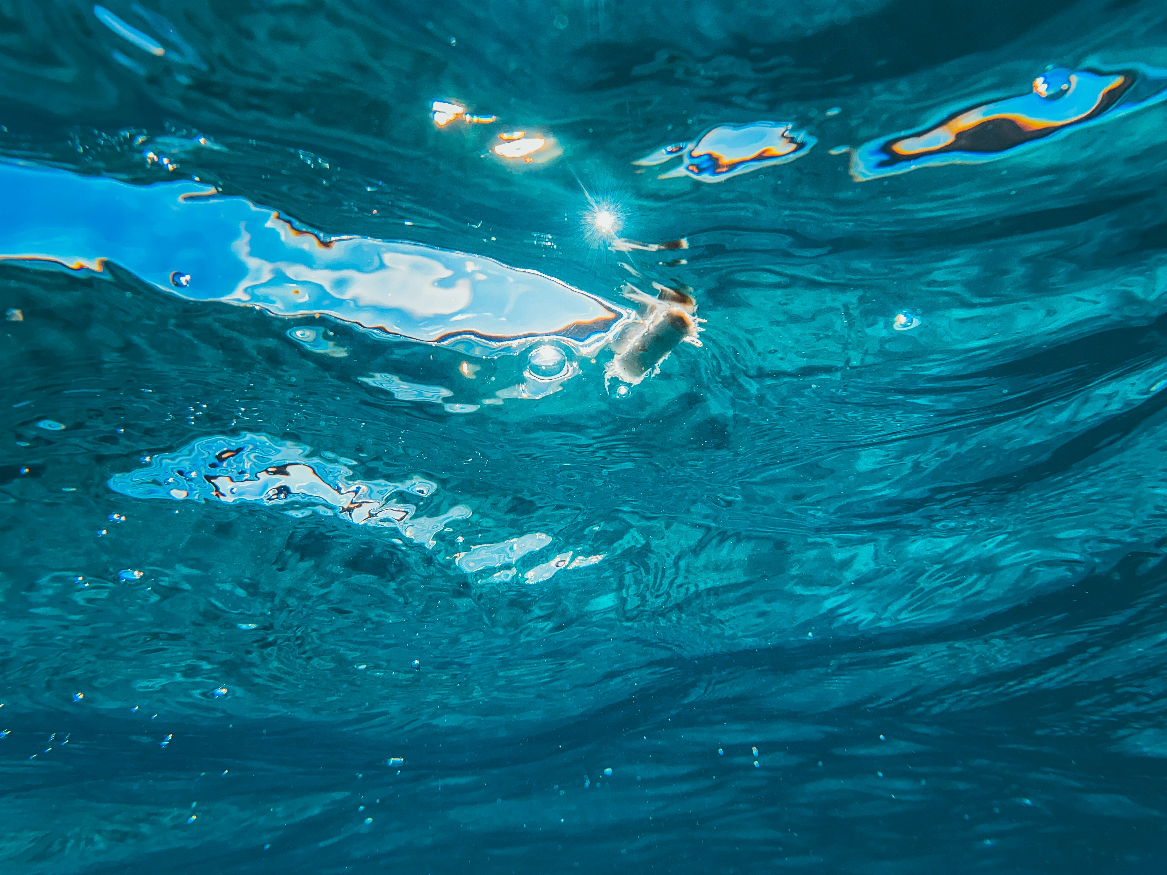 Vue sous-marine du soleil scintillant à la surface de l’océan