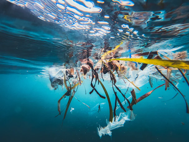 Ocean pollution with plastic debris and seaweed