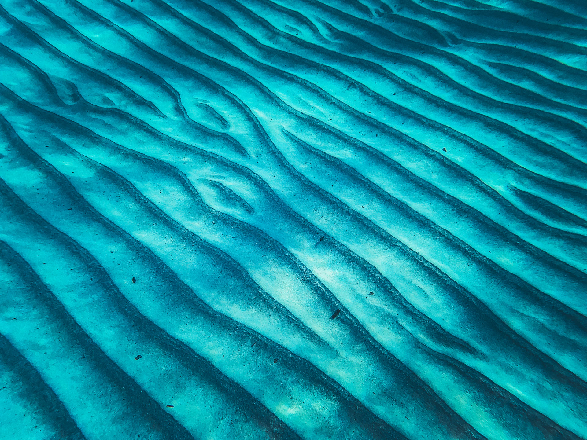 Underwater sand ripples illuminated by sunlight