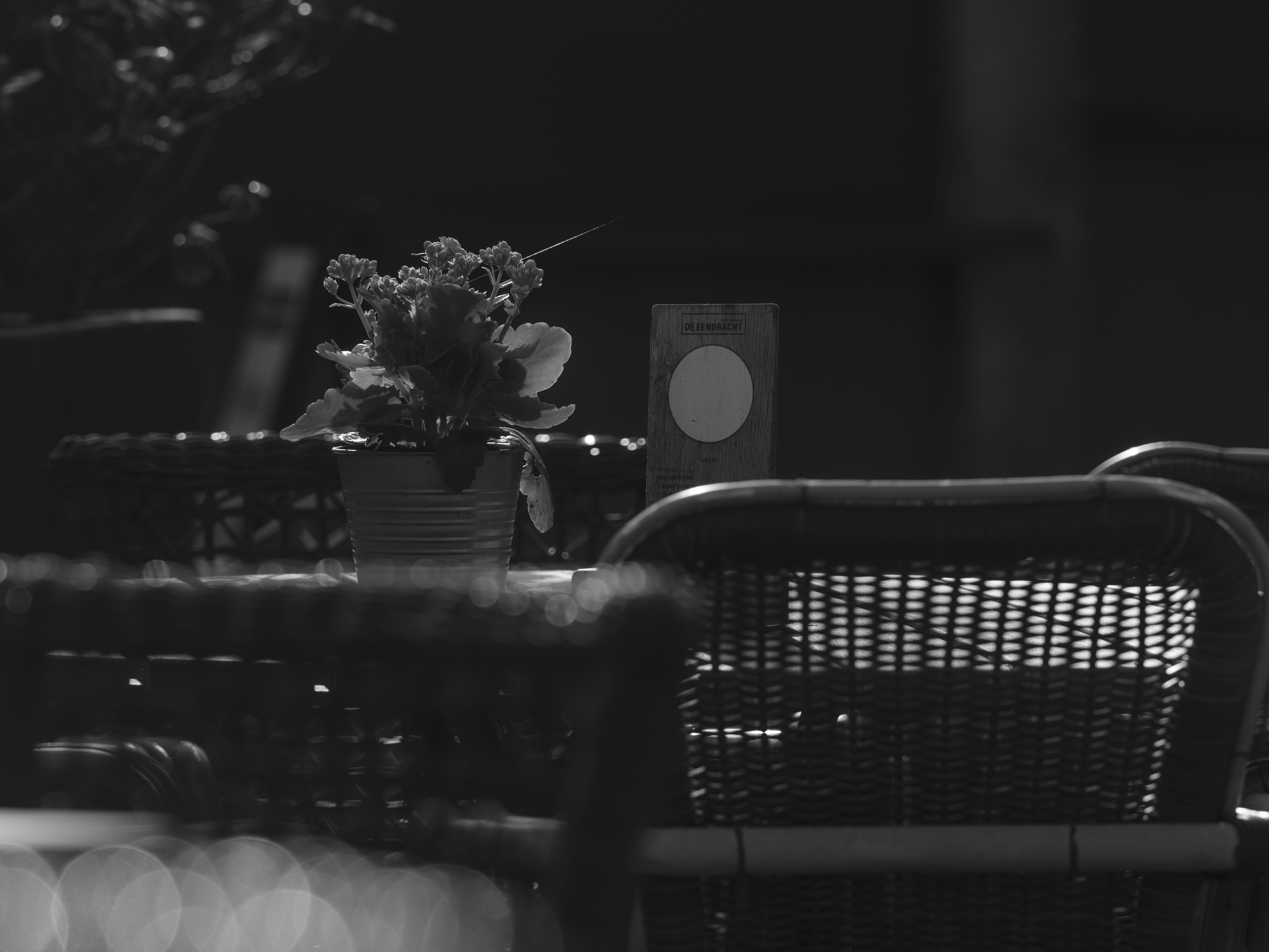 Ambiance de dîner en jardin à la nuit tombante