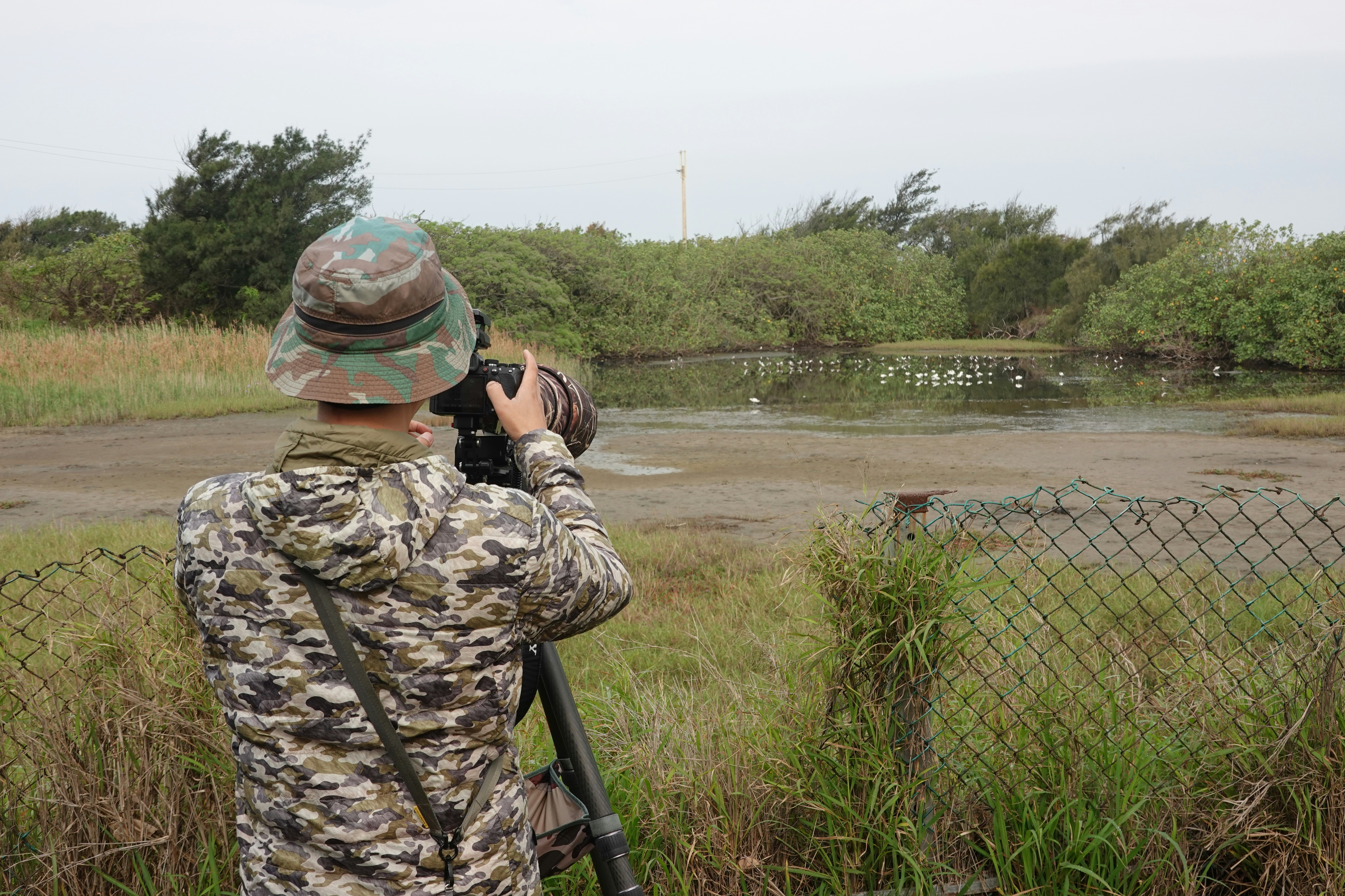 Person in camouflage photographing birds in wetland
