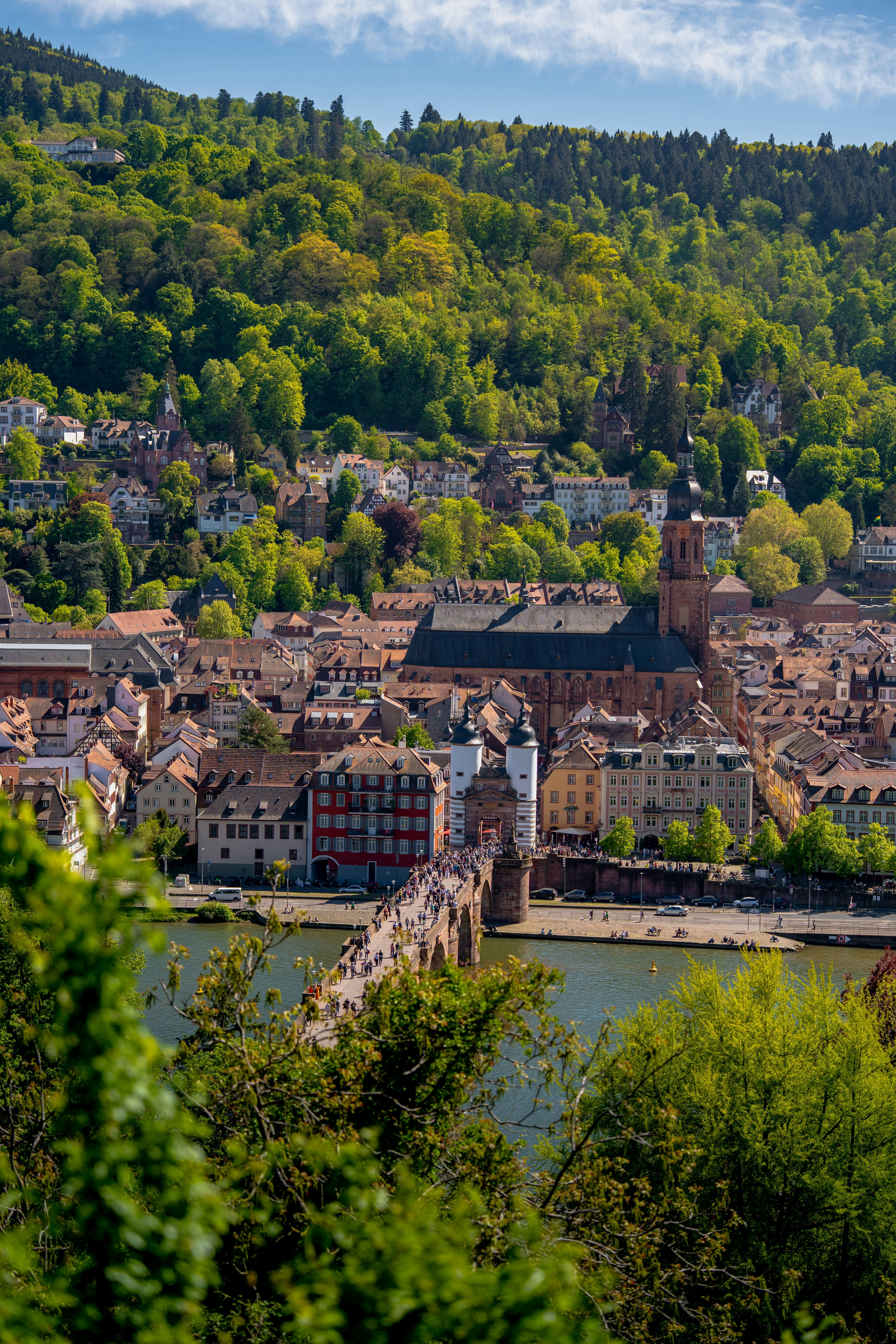 The Rhine Valley and Mannheim