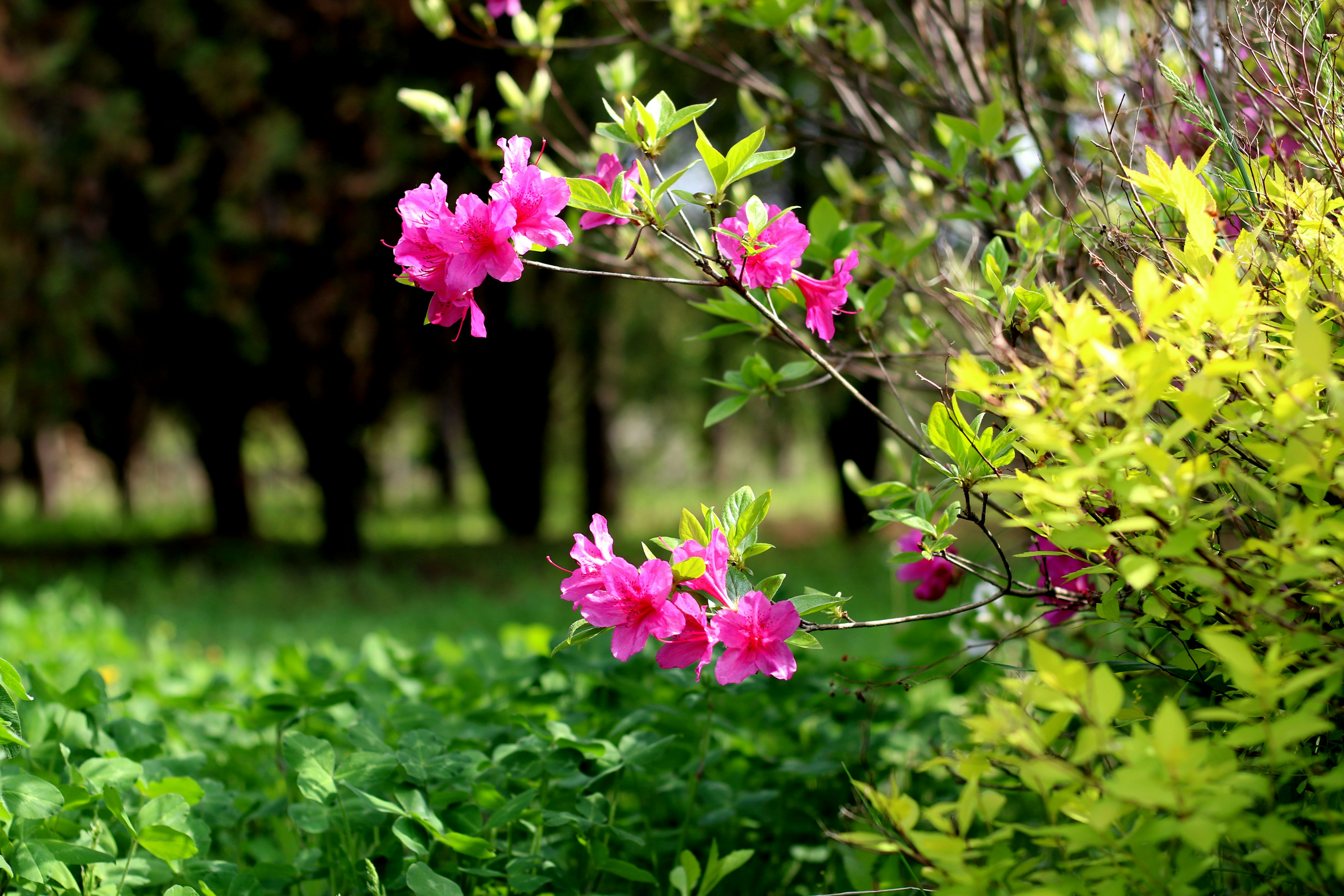 Photo by chulho